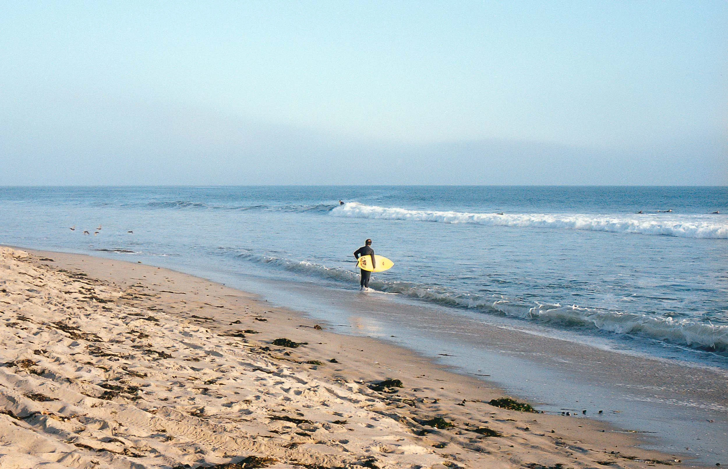 A person walking with a surfboard along the beach shoreline with the ocean waves rolling in, seagulls flying nearby on a clear day.
