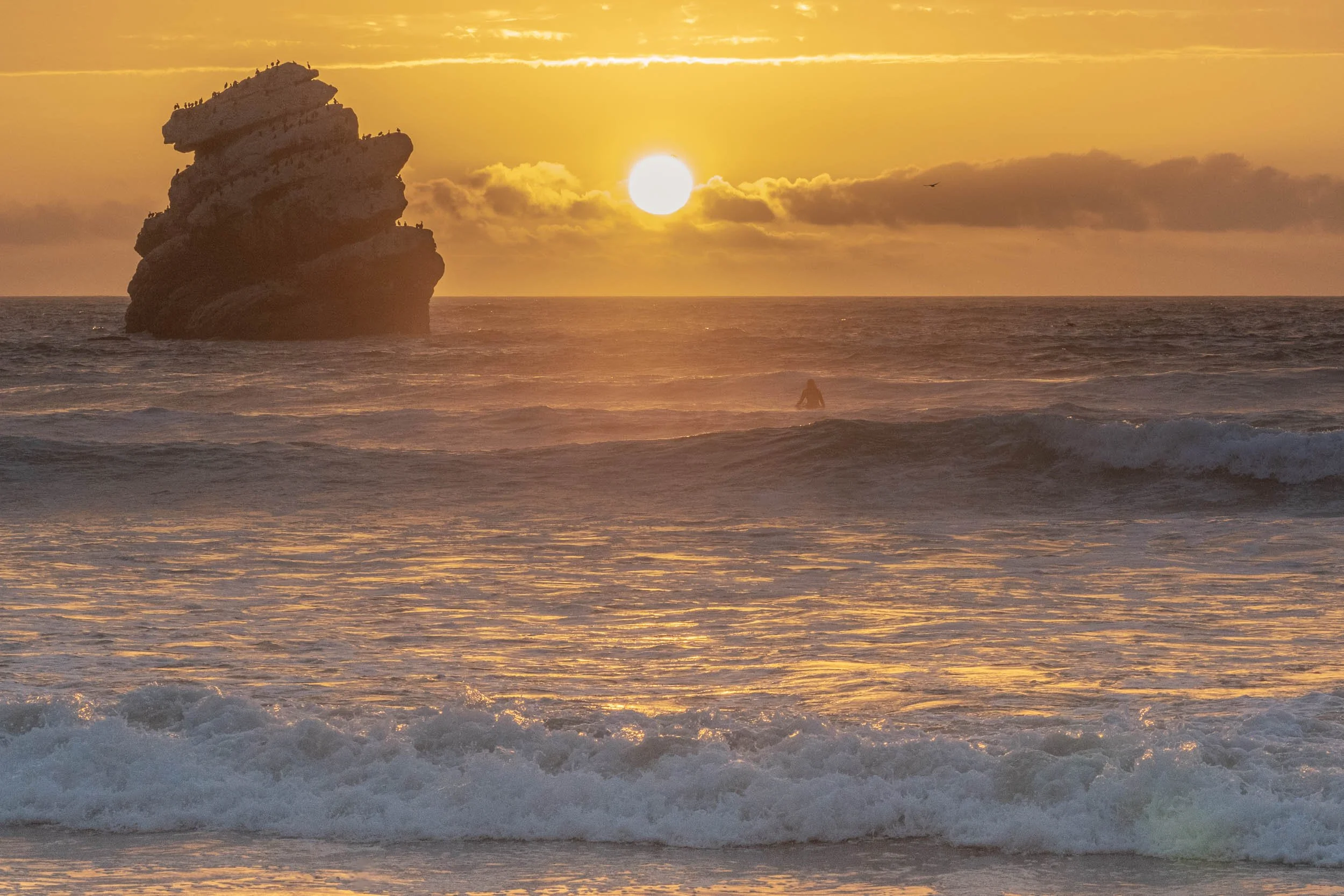 Sunset over the ocean with a large rock formation and birds perched on top. The sky has a yellow-orange hue with clouds and a visible bird flying.