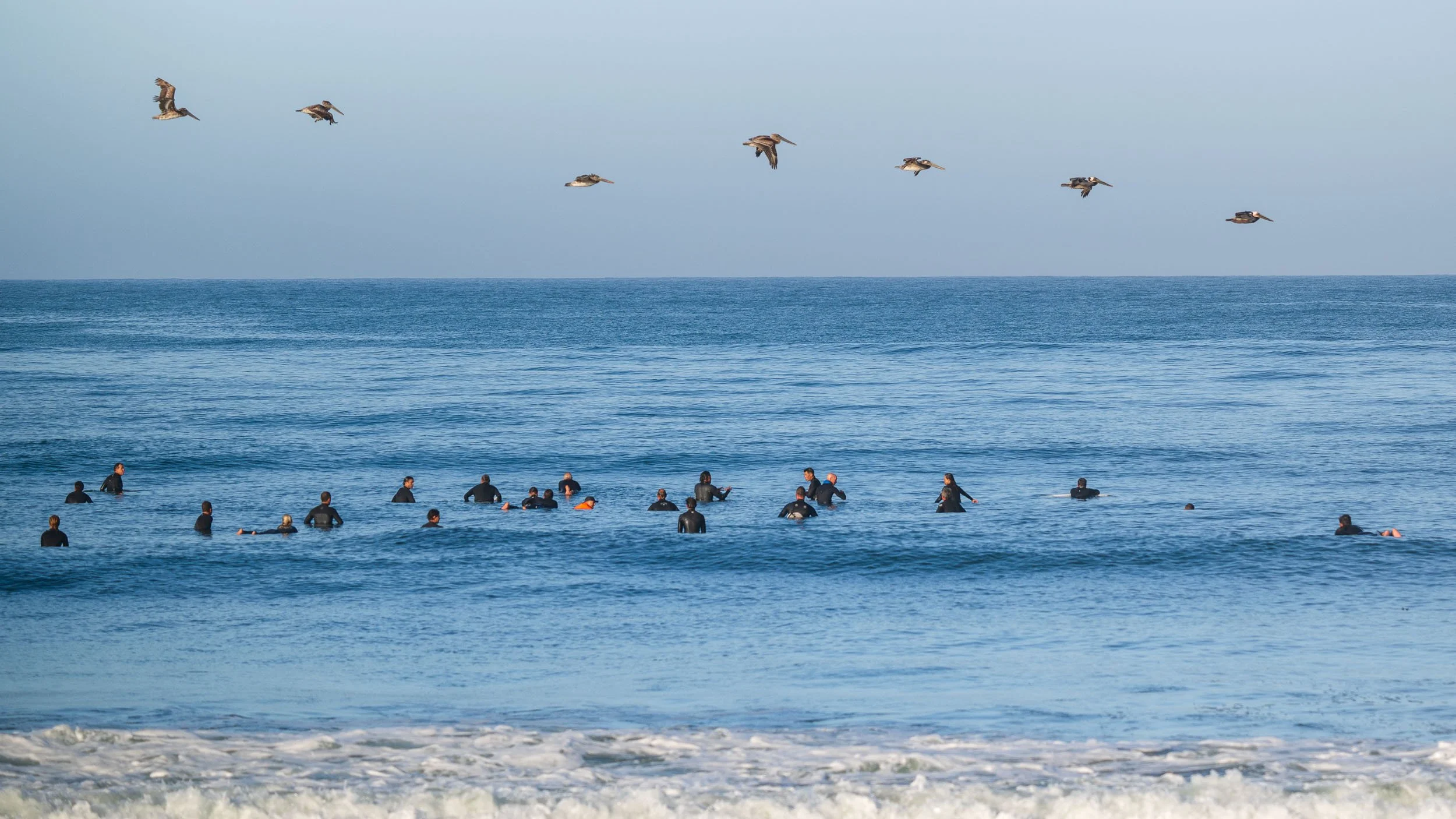 People swimming in the ocean with seagulls flying overhead.