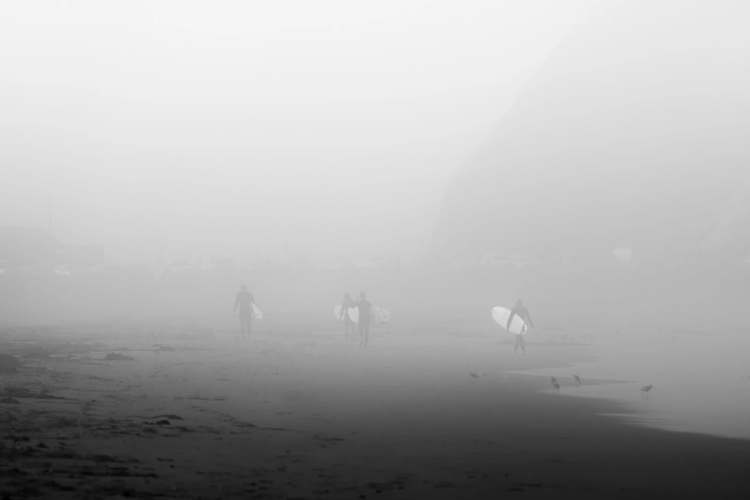 A foggy beach scene with people carrying surfboards and birds walking along the shore.