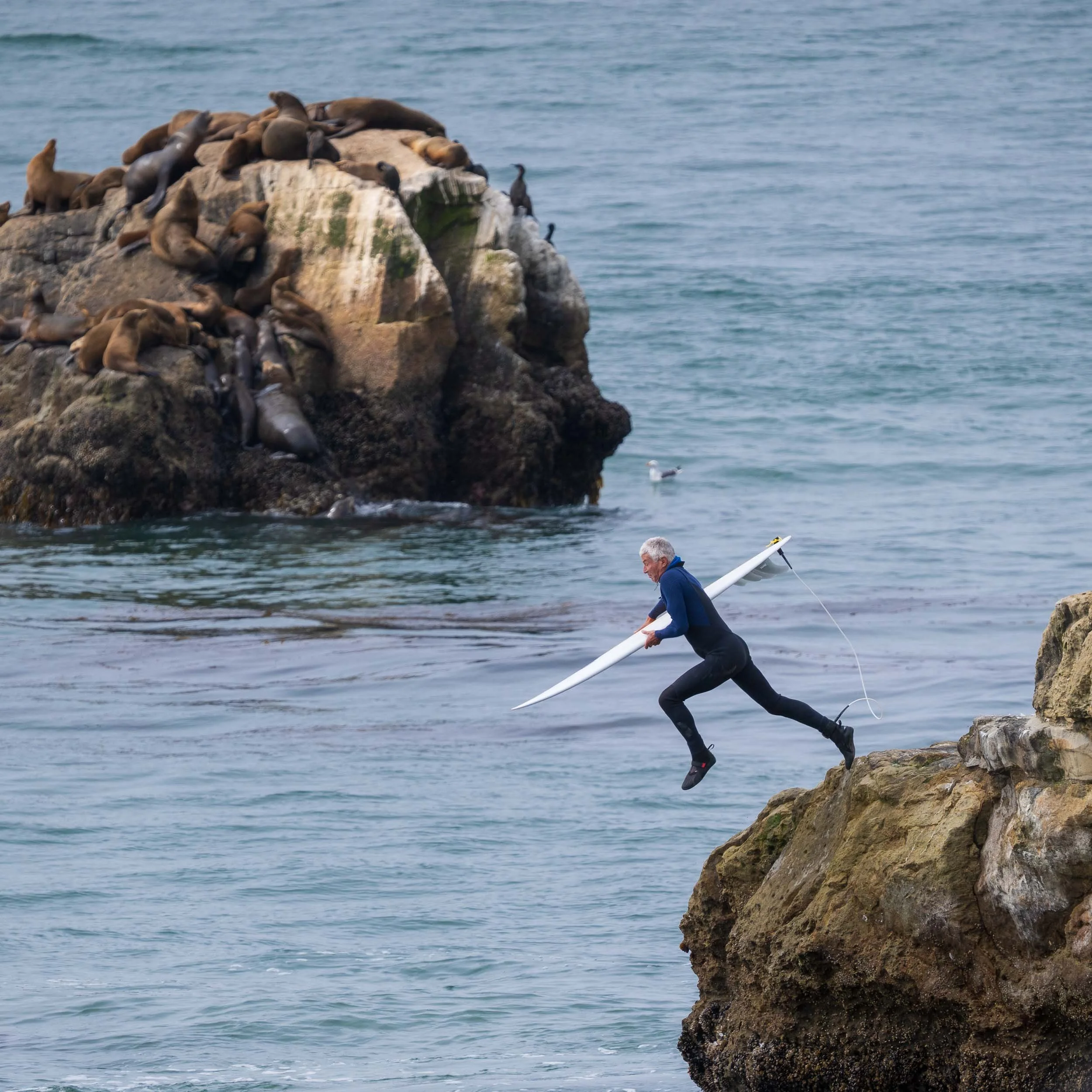 A person in a wetsuit climbing a rocky outcrop with a white surfboard in hand, near the ocean with waves and a bird floating on the water.