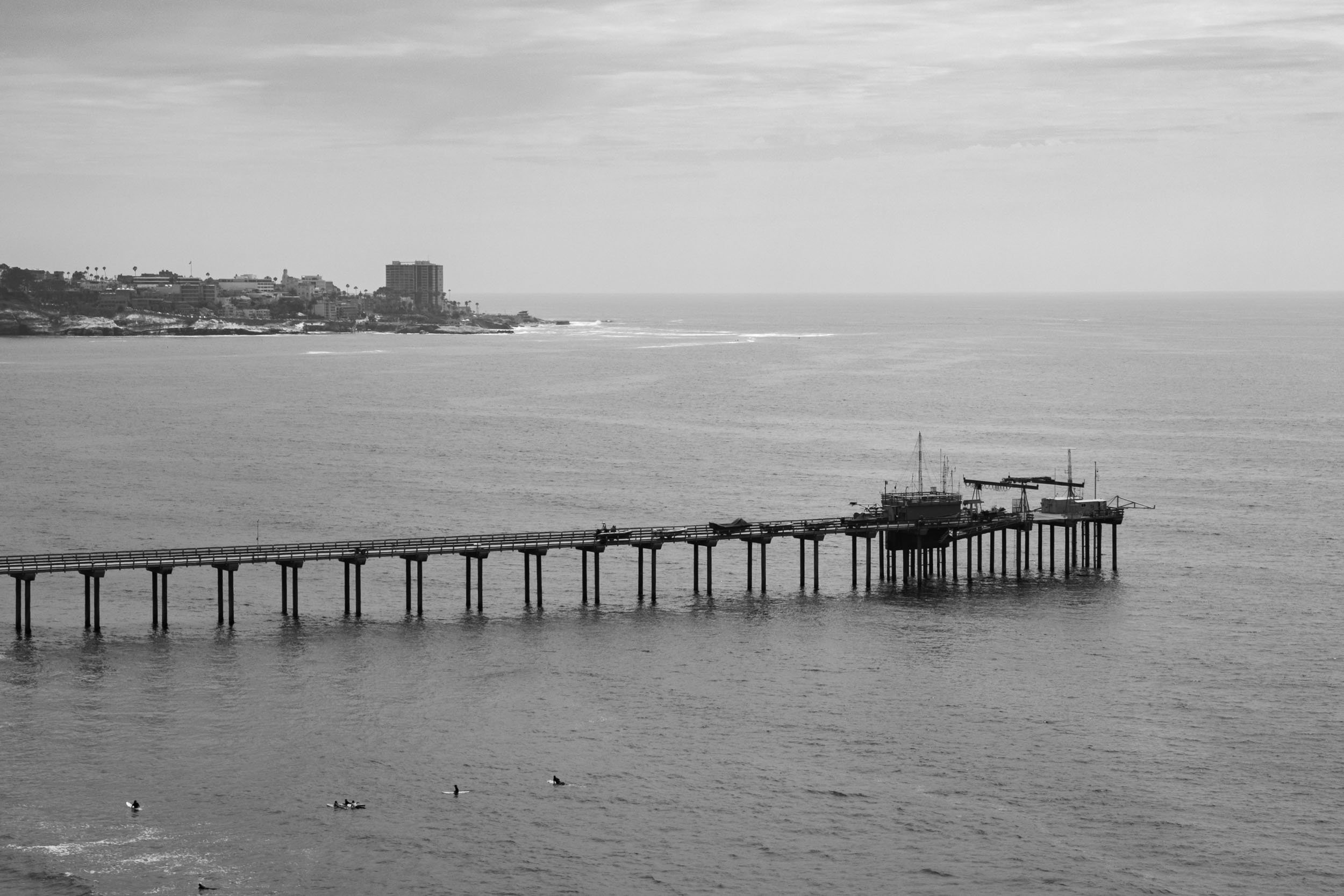 Black and white photo of a coastal scene with a pier extending into the water. The background features a cityscape with multiple buildings and palm trees along the shoreline. Several boats and birds are visible on the water.