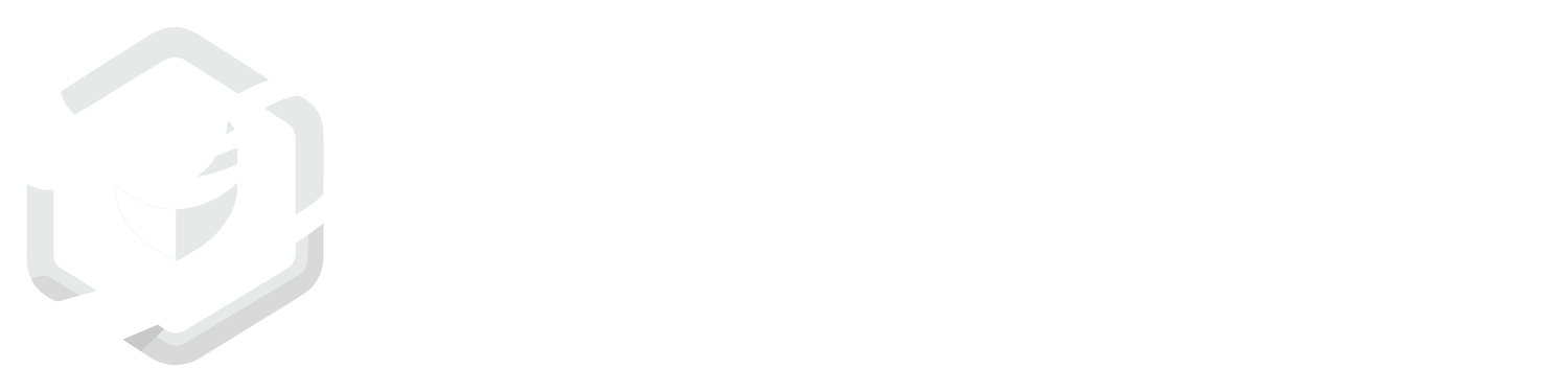 CyberNinja IT