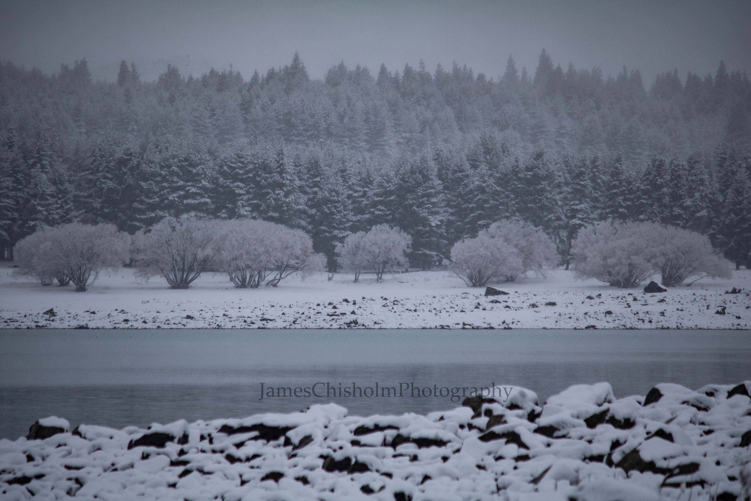 Winter Wonderland