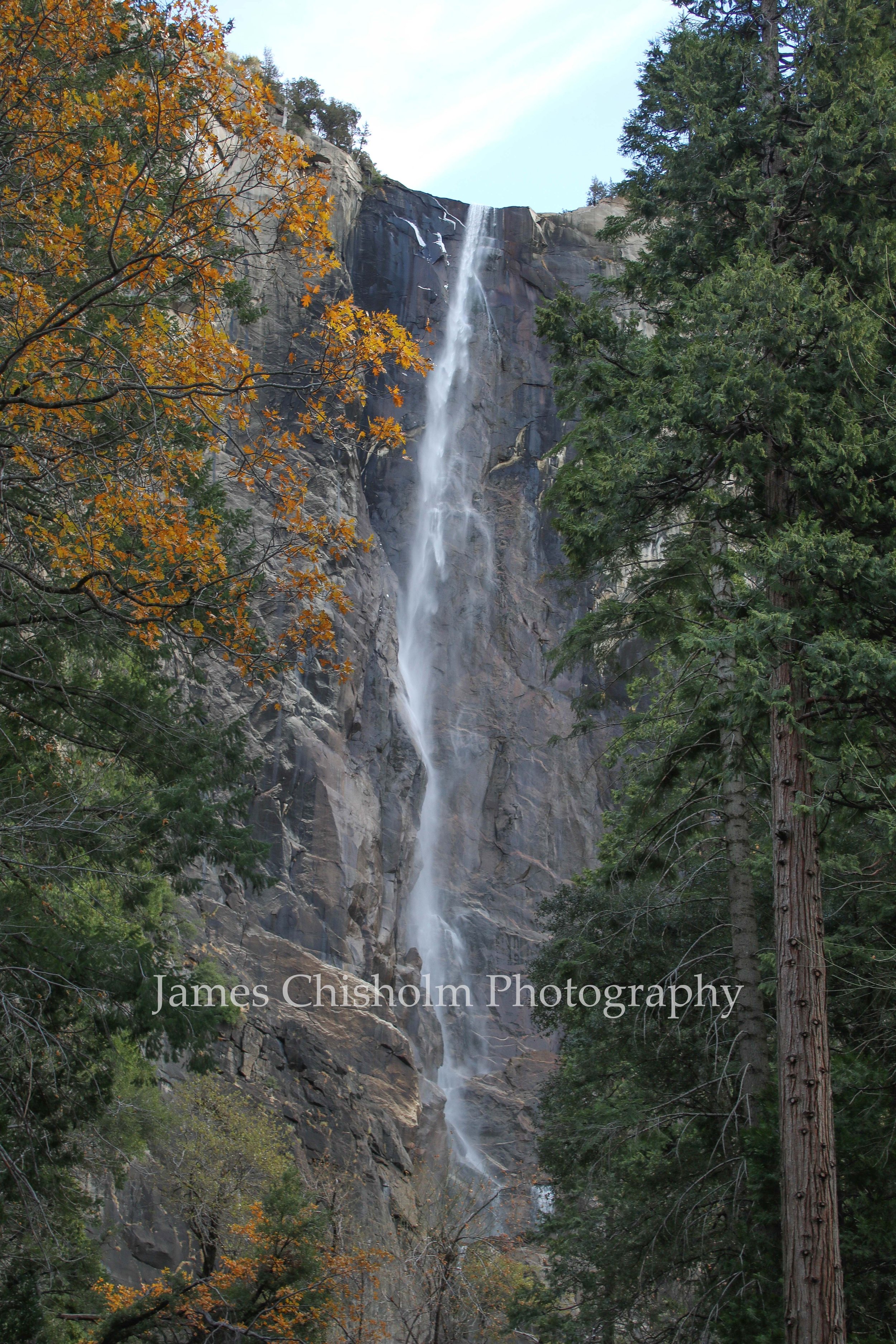 A tall waterfall cascading down a rocky cliff surrounded by dense green forest with some orange autumn leaves on the left side.