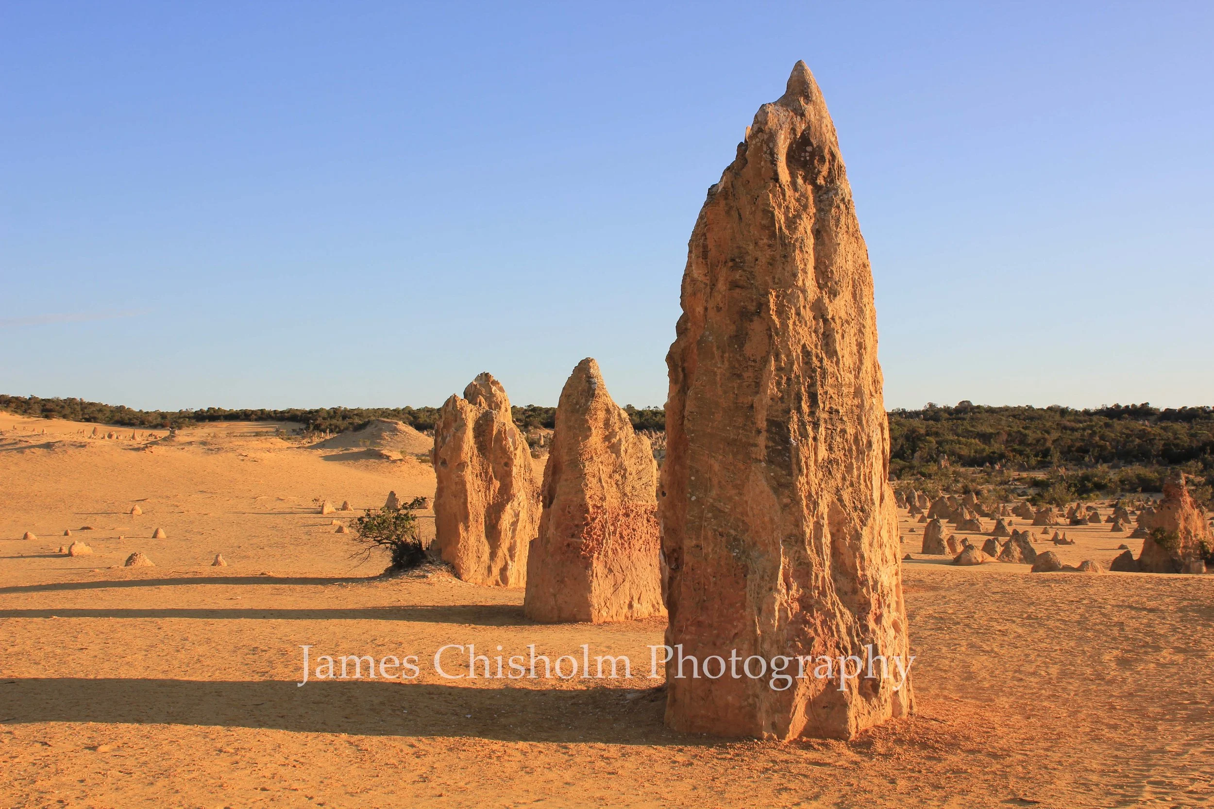 Orange Pillars

- Pinnacles Desert, Australia