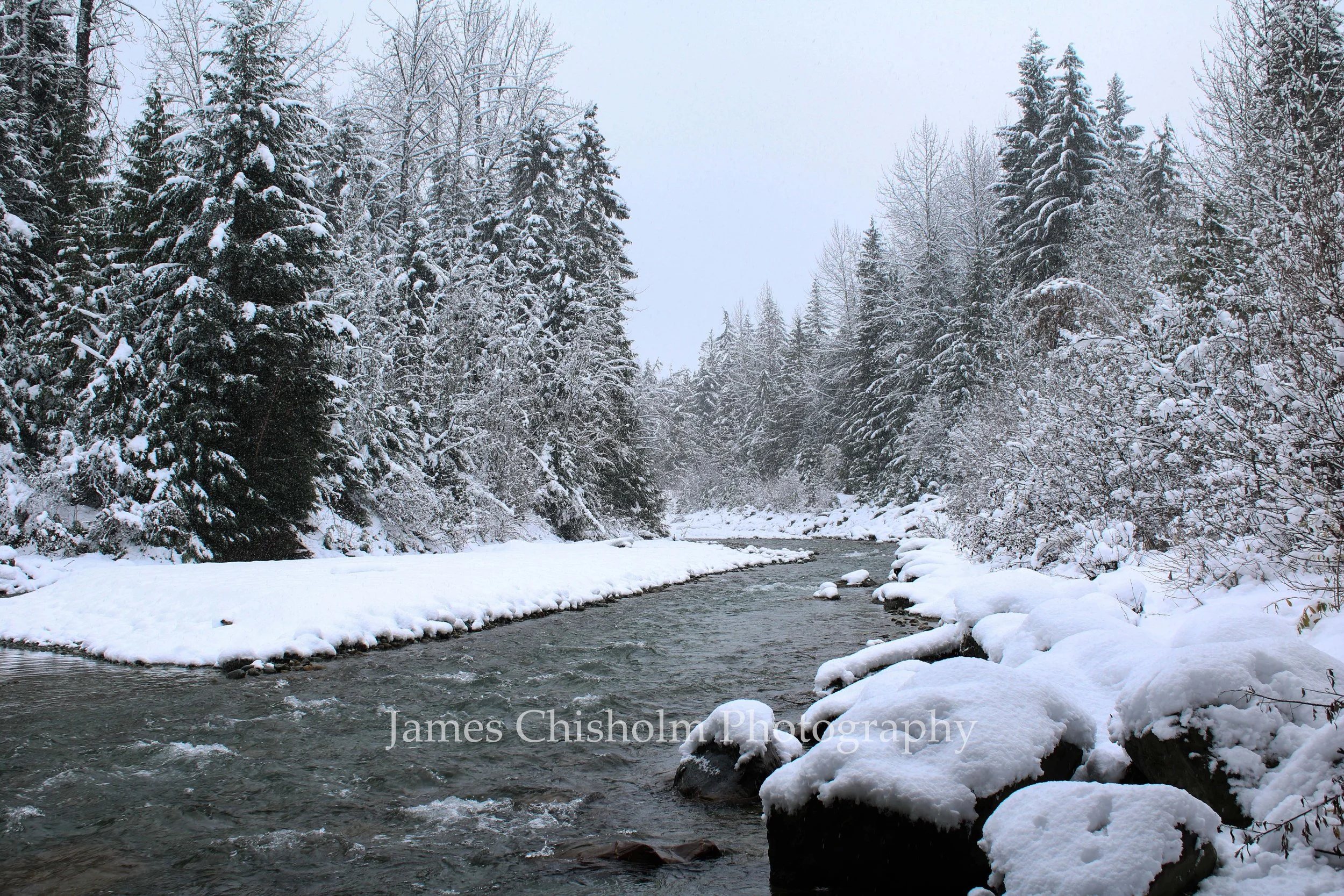 Canadian Creek

- Whistler, Canada