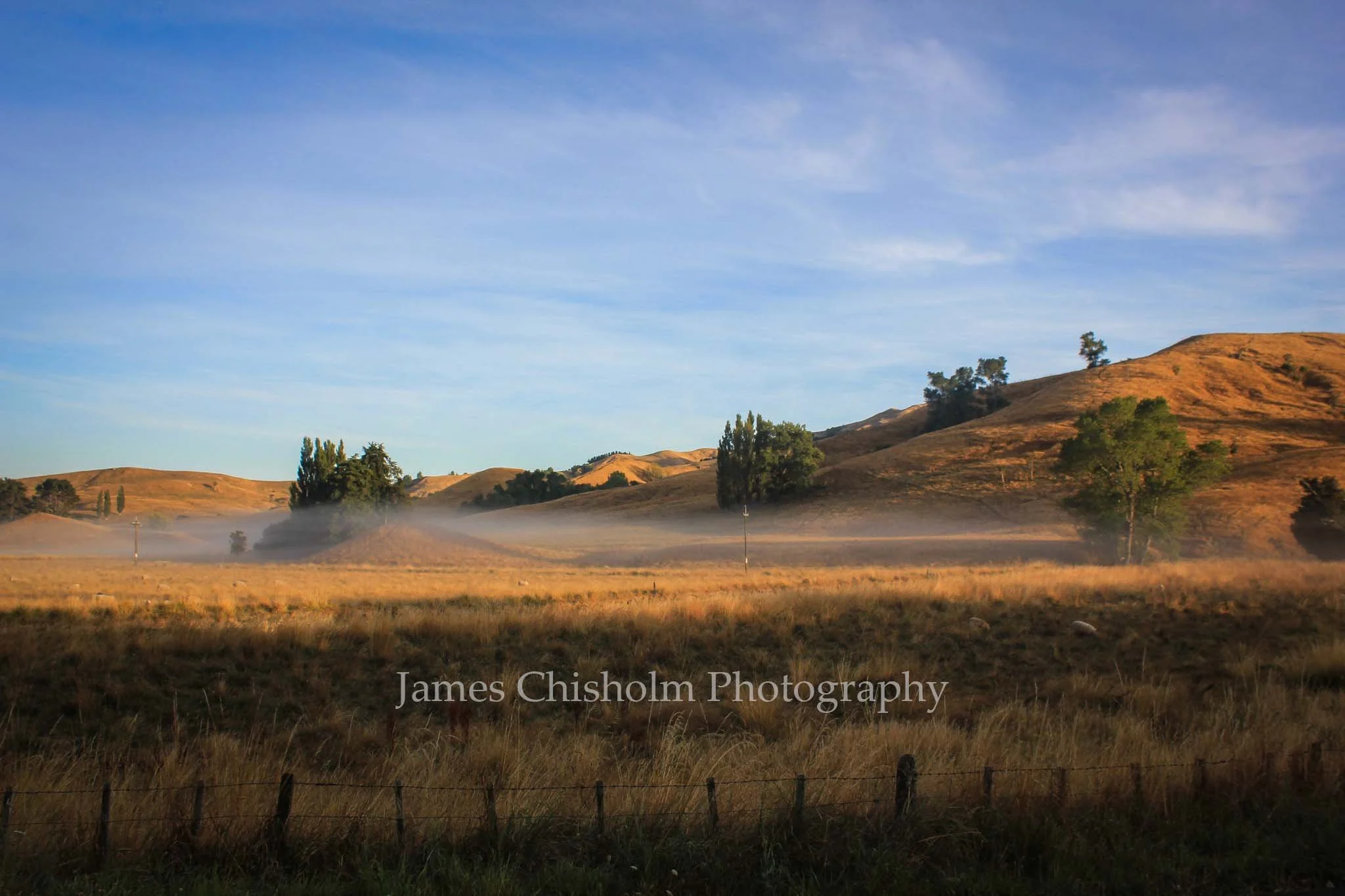 Morning Mist