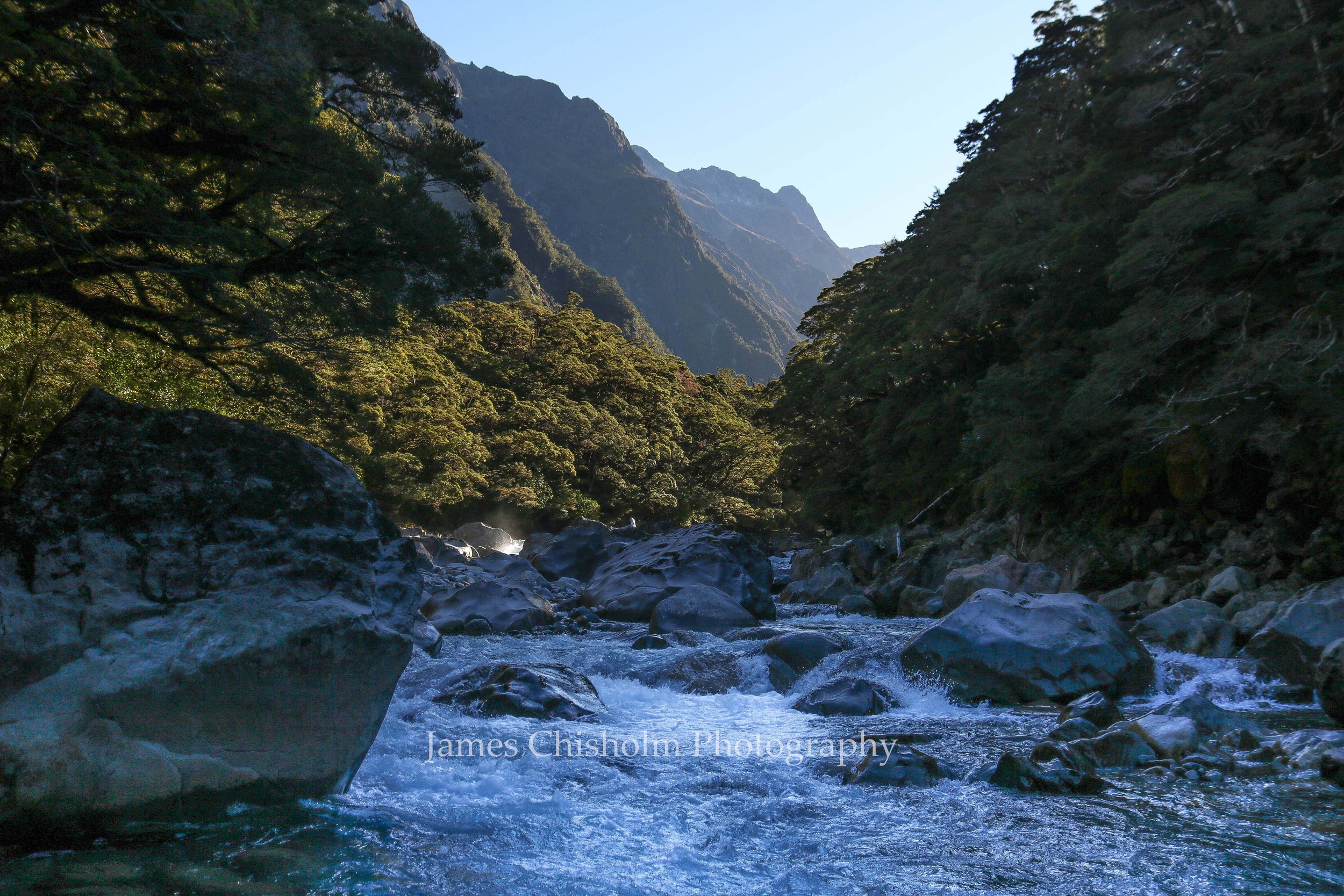 Hollyford Valley