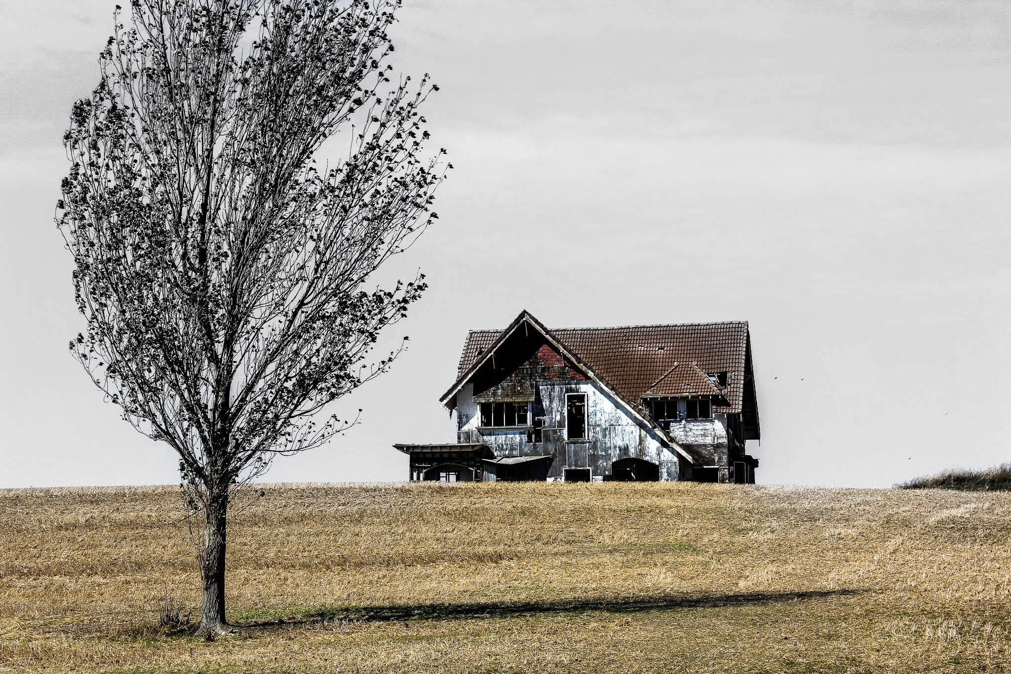 A leafless tree in front of an old, weathered house with a red tiled roof on a grassy field under a cloudy sky.