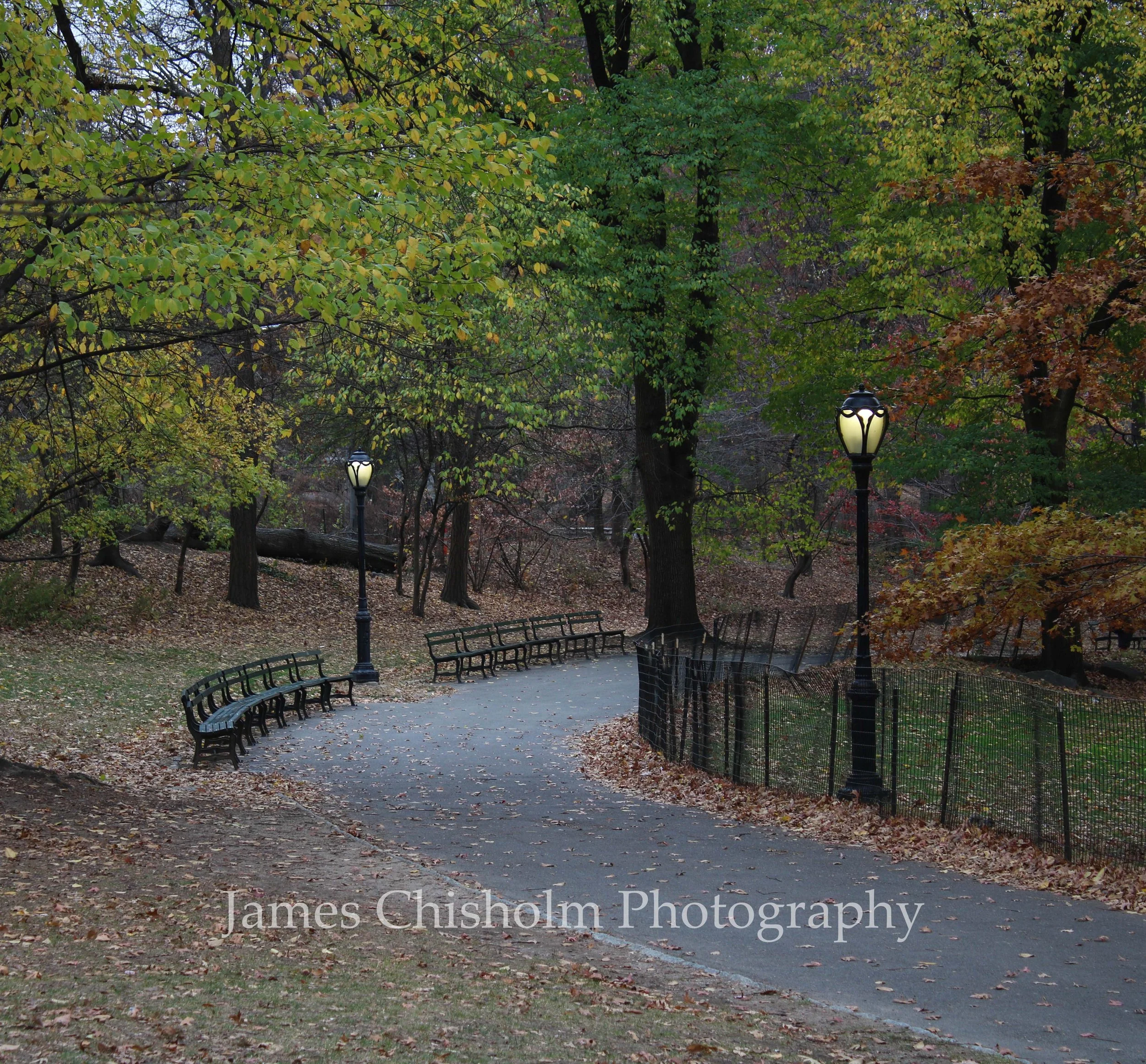 Blooming Path

- New York, USA