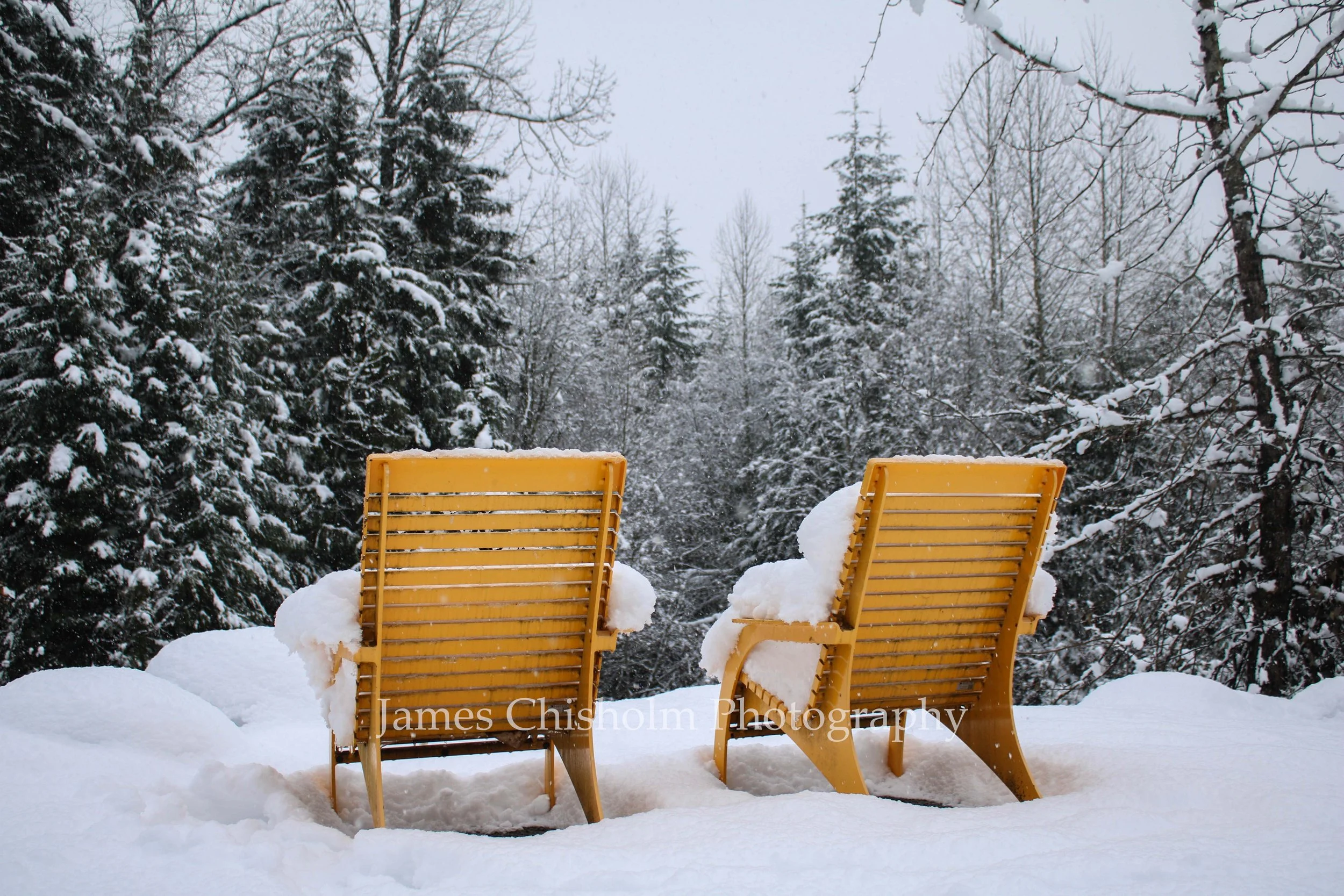 Yellow Twins

- Whistler, Canada