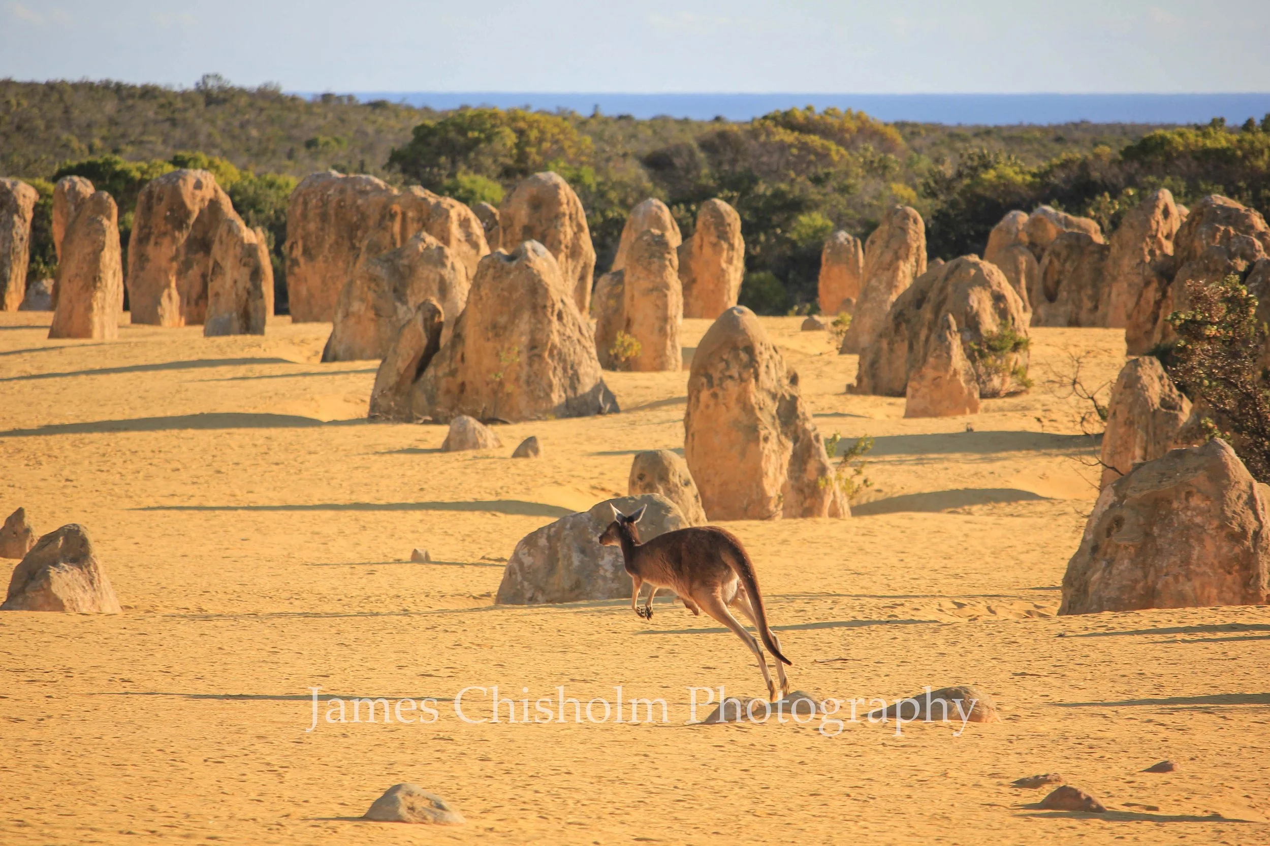 Australian Outback

- Pinnacles Desert, Australia