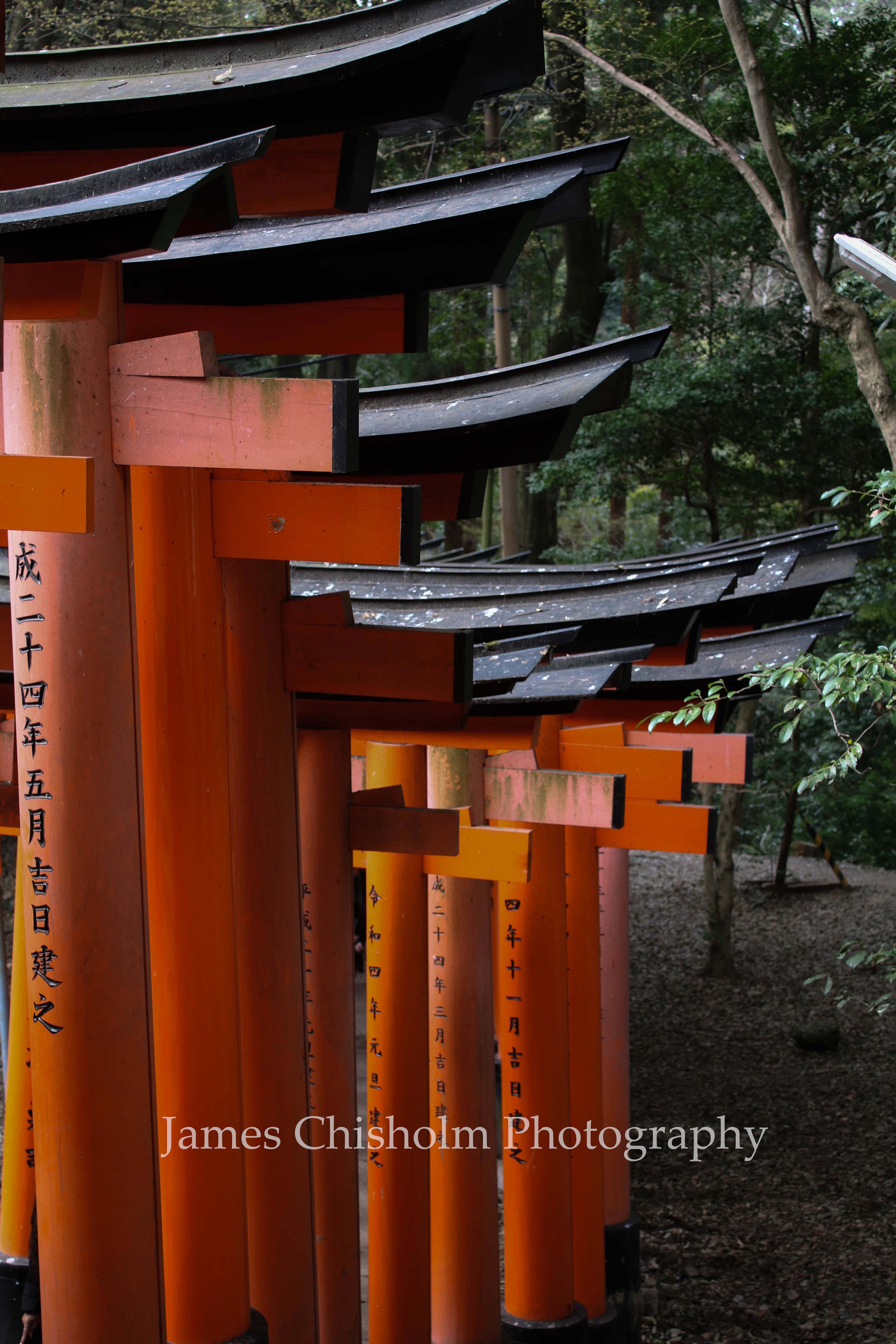 A row of traditional Japanese torii gates painted in orange and black, situated in a wooded area.