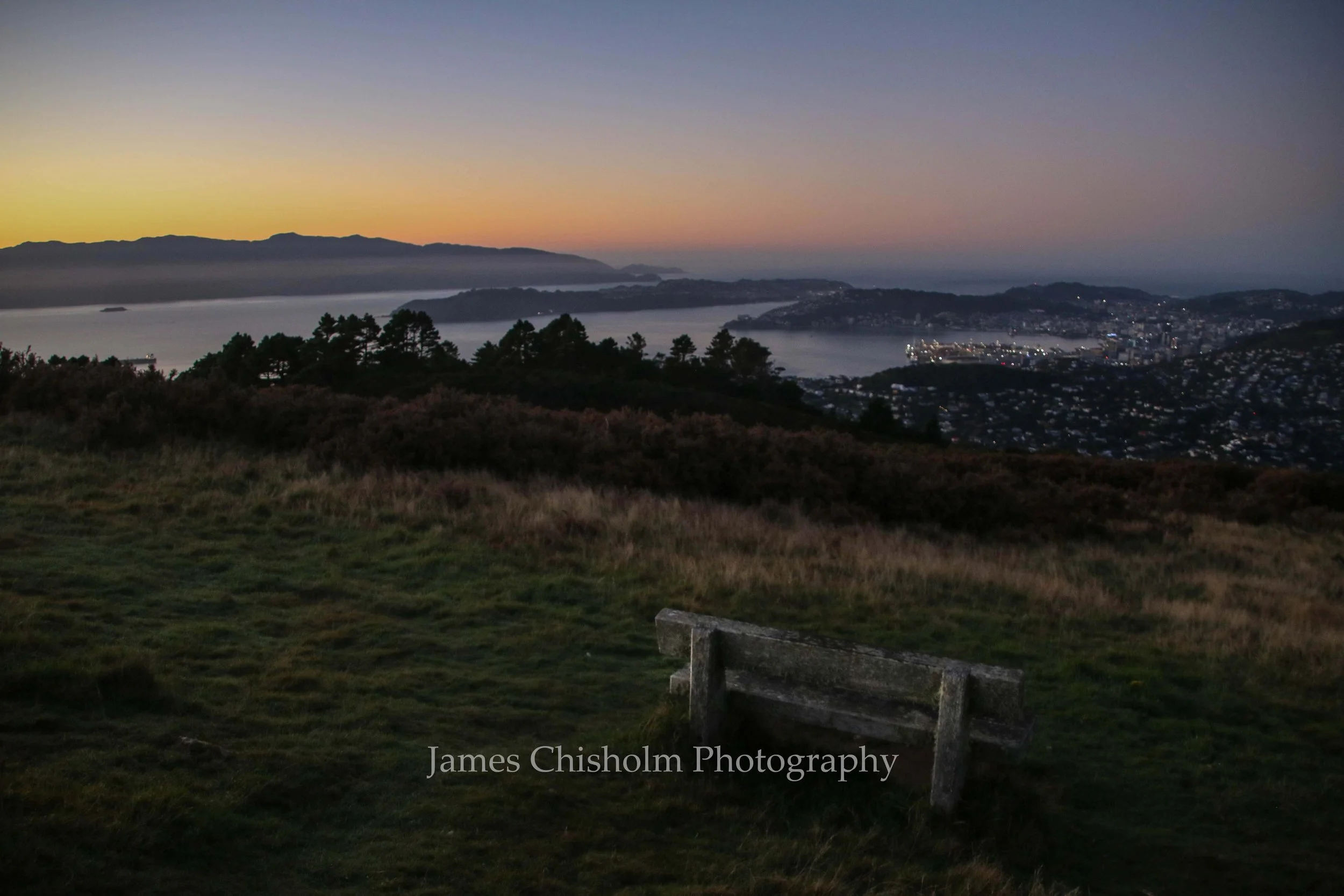 A scenic view of a bay at dusk, with a city on the right and a forested hill in the foreground. Mountain range in the background, and fog over the water.