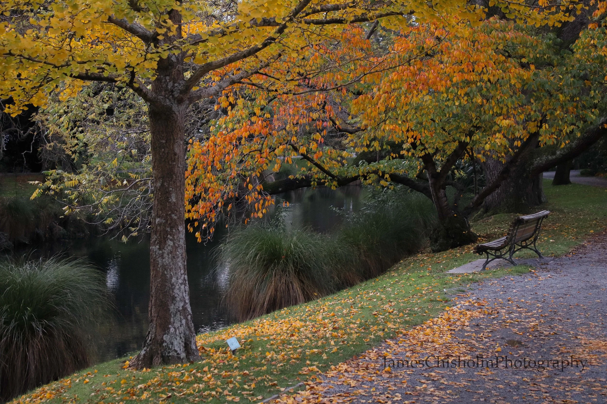 Autumn upon the Avon