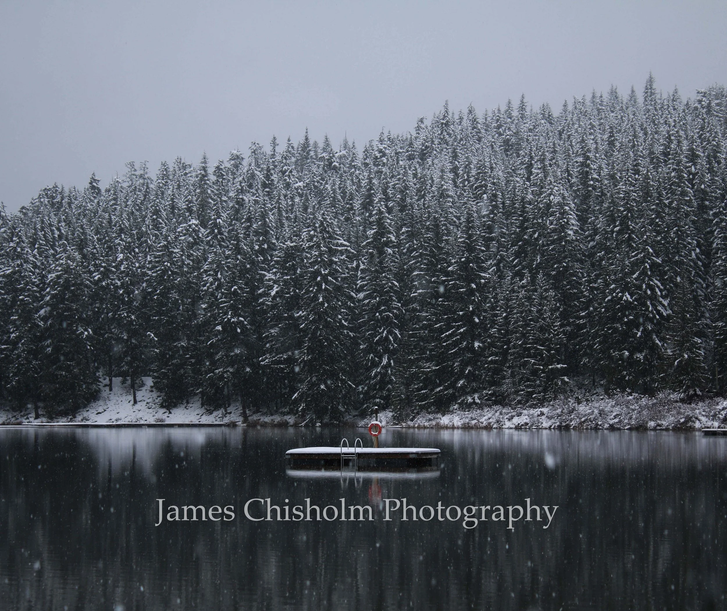 White Wonderland #1

- Whistler, Canada