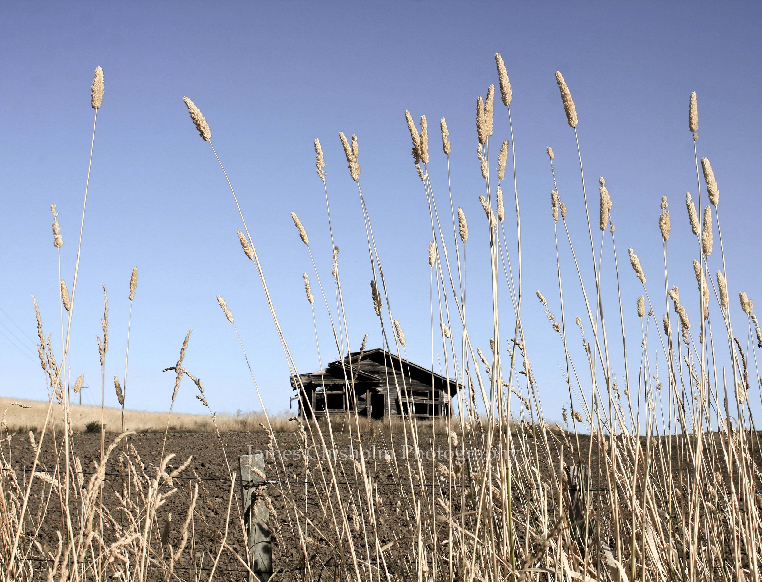 Hawkes Bay Countryside