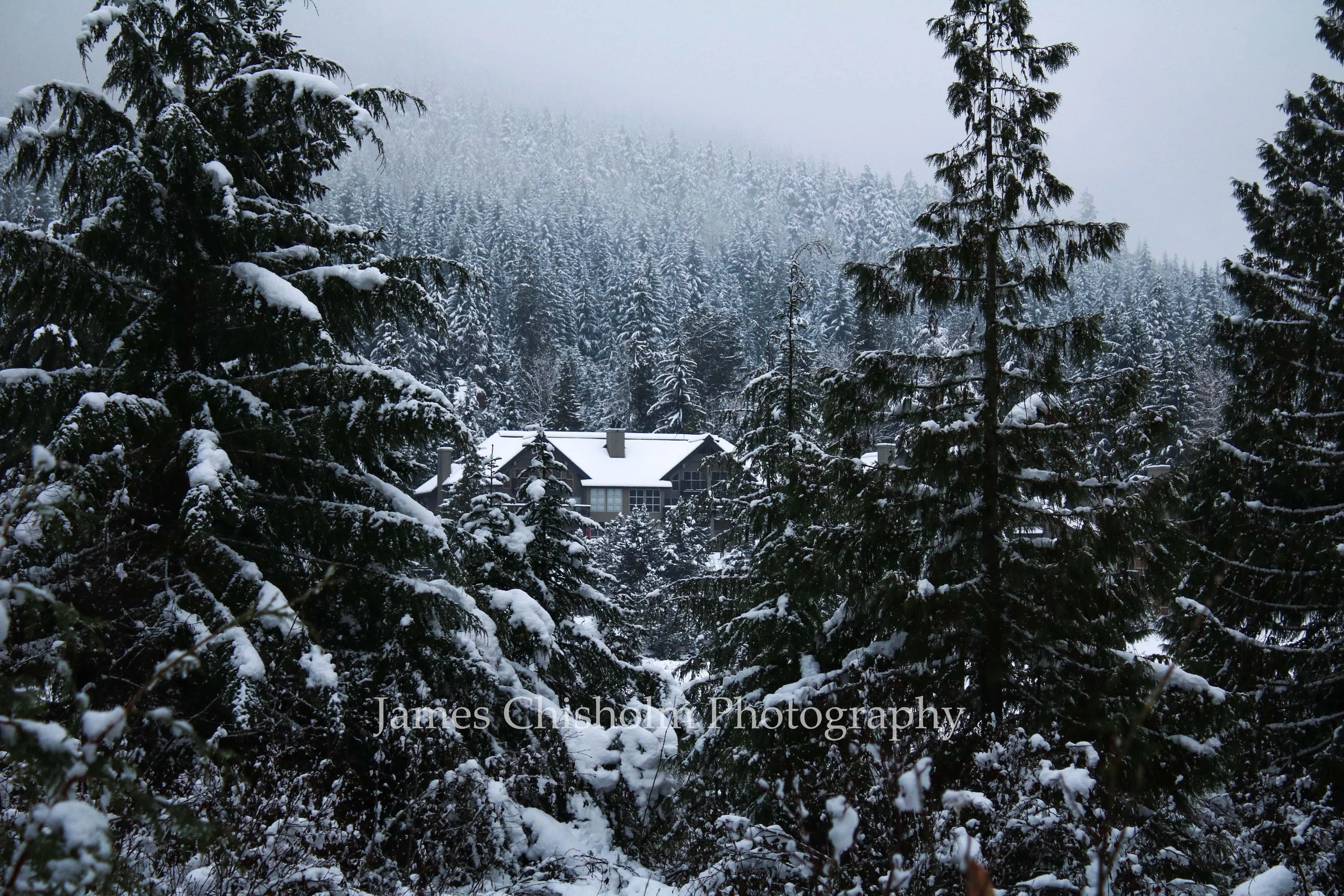 Lonely Lodge

- Whistler, Canada