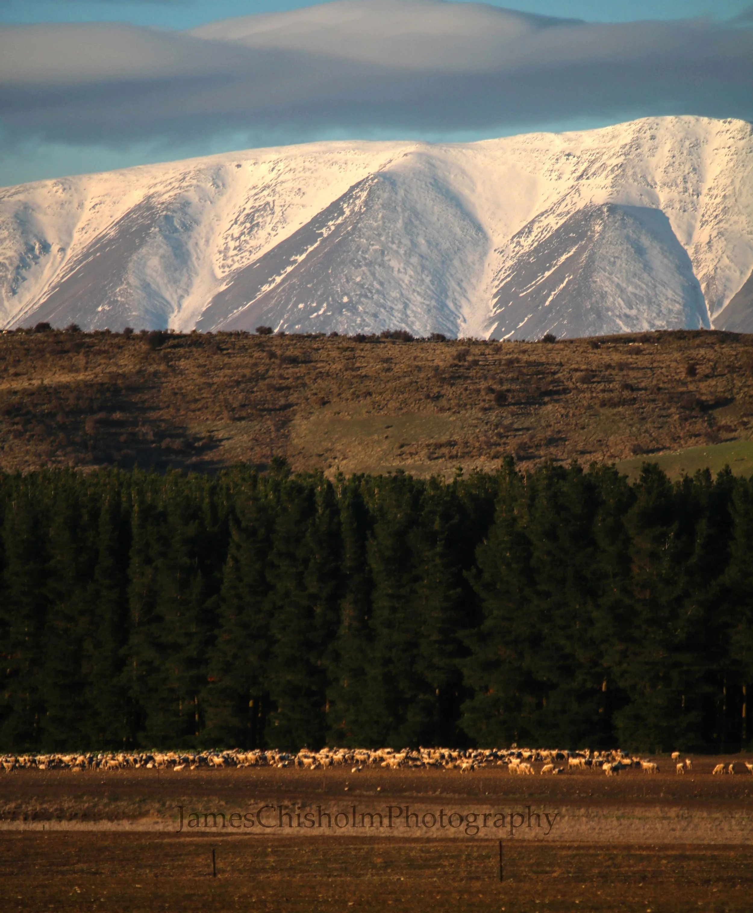 Foot of the Ranges
