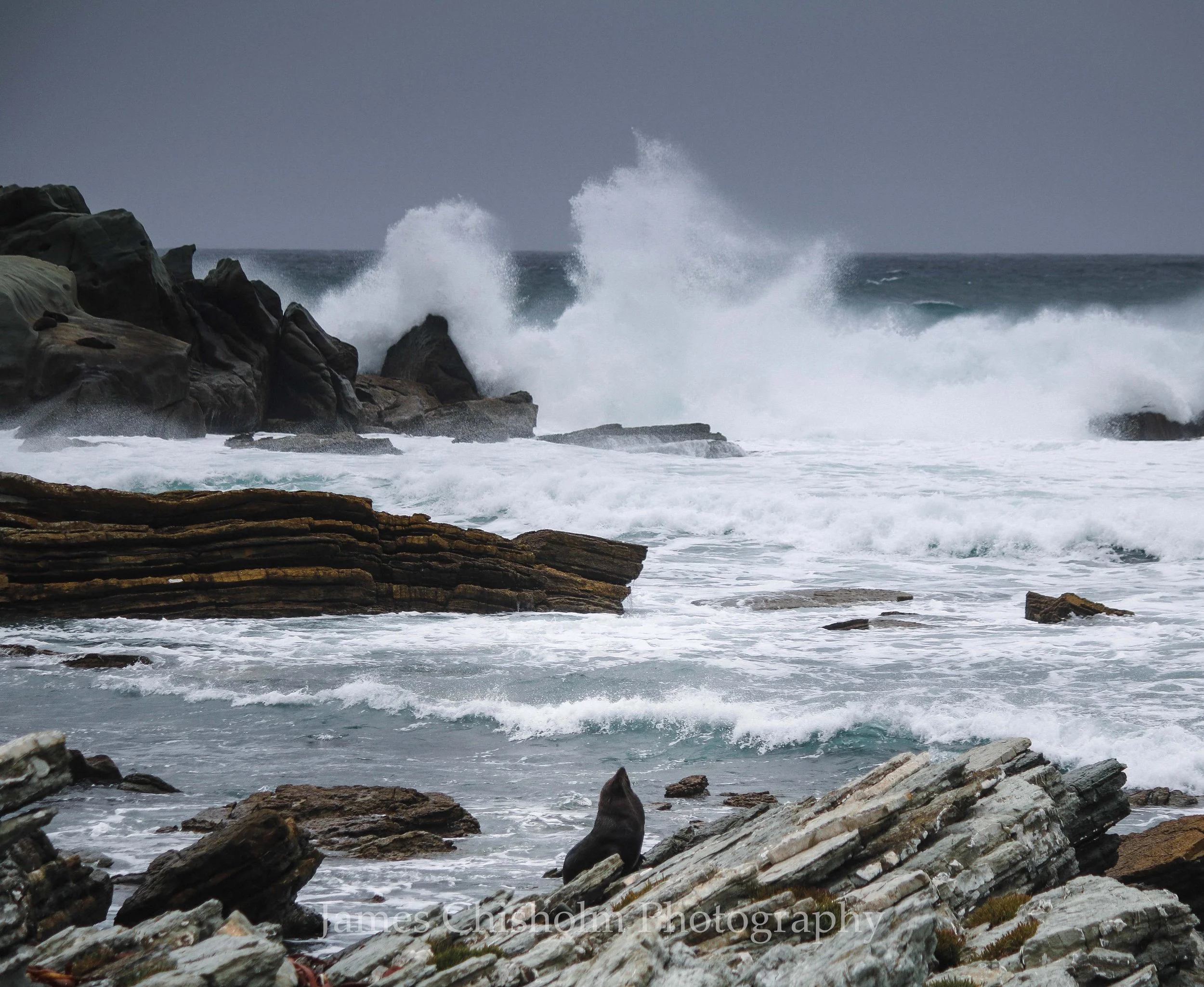 Gusty South Coast
