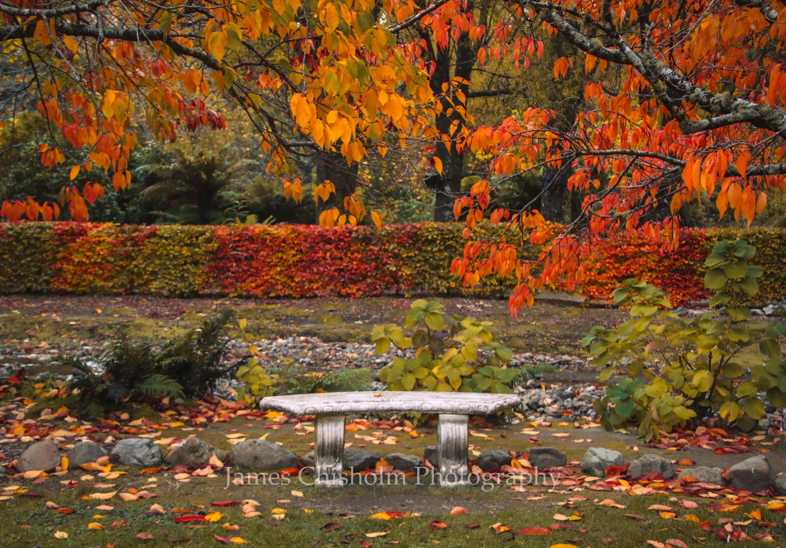 Rimutaka Autumn