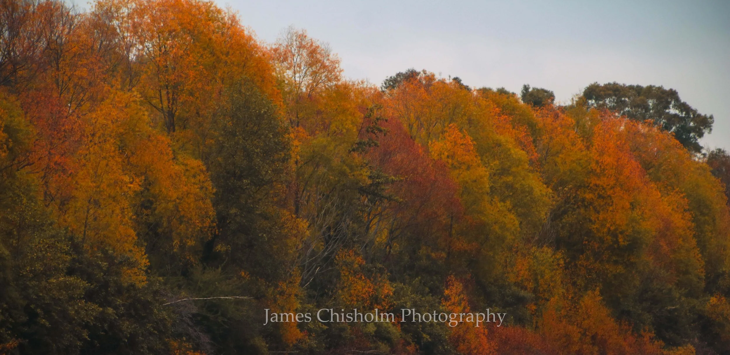 Upper Hutt Autumn
