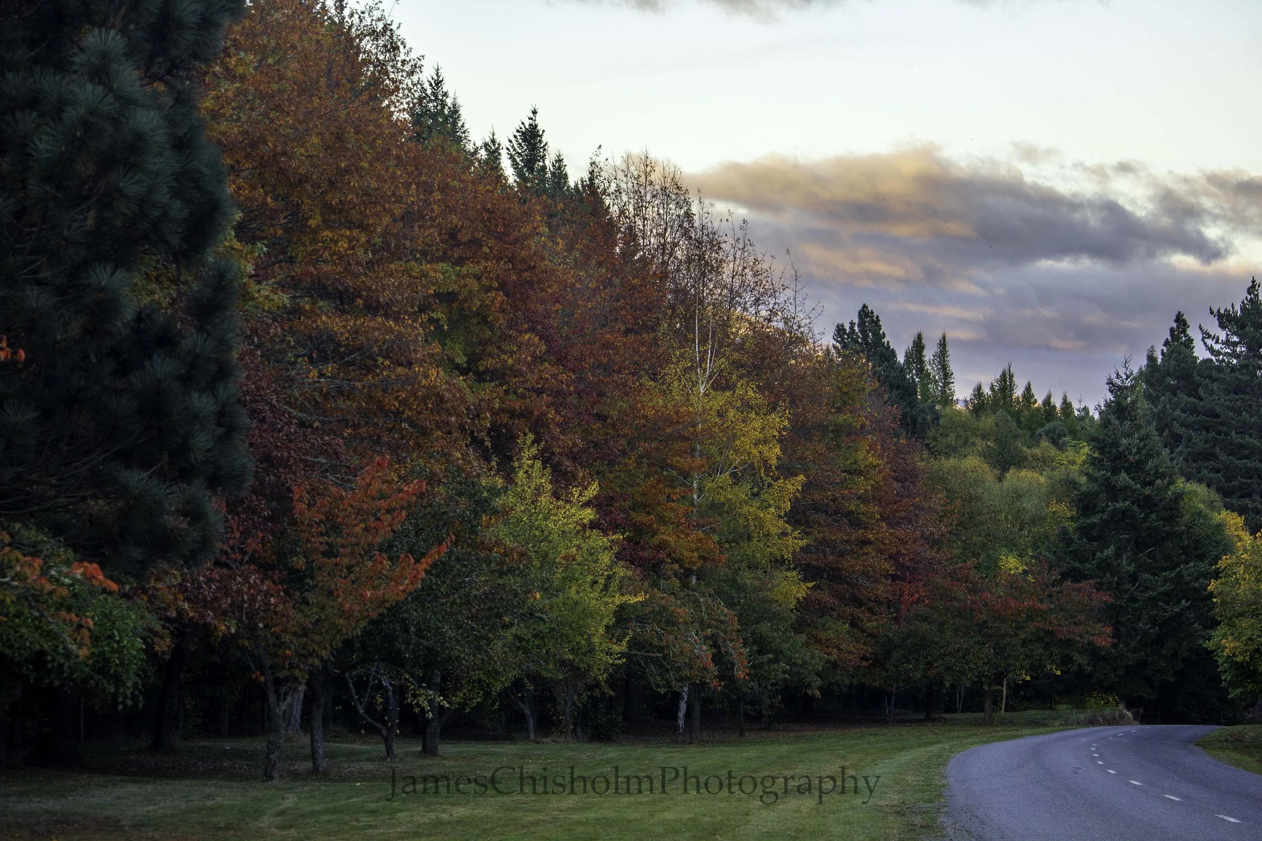 Alpine Autumn