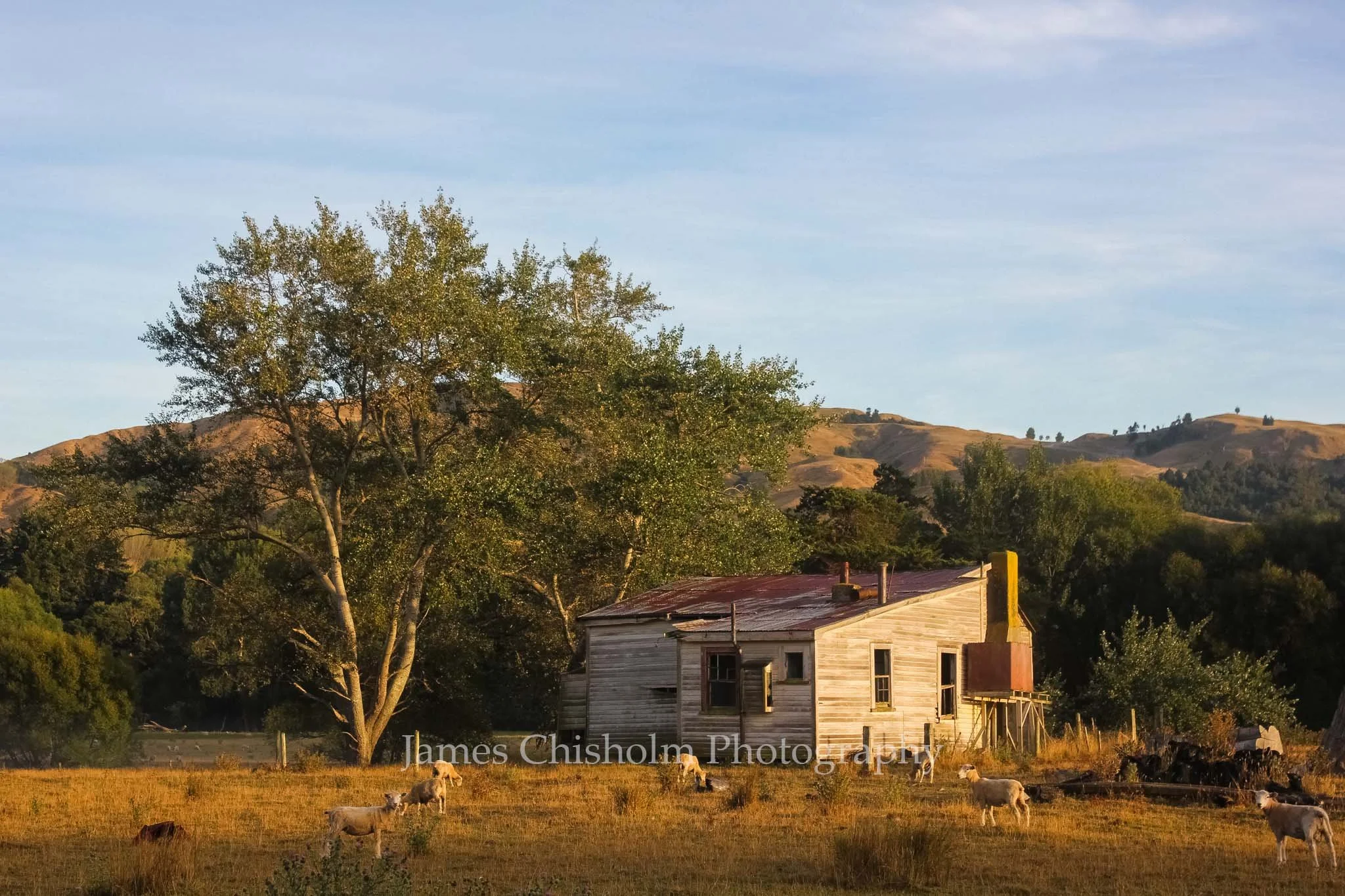 Forgotten Dwelling