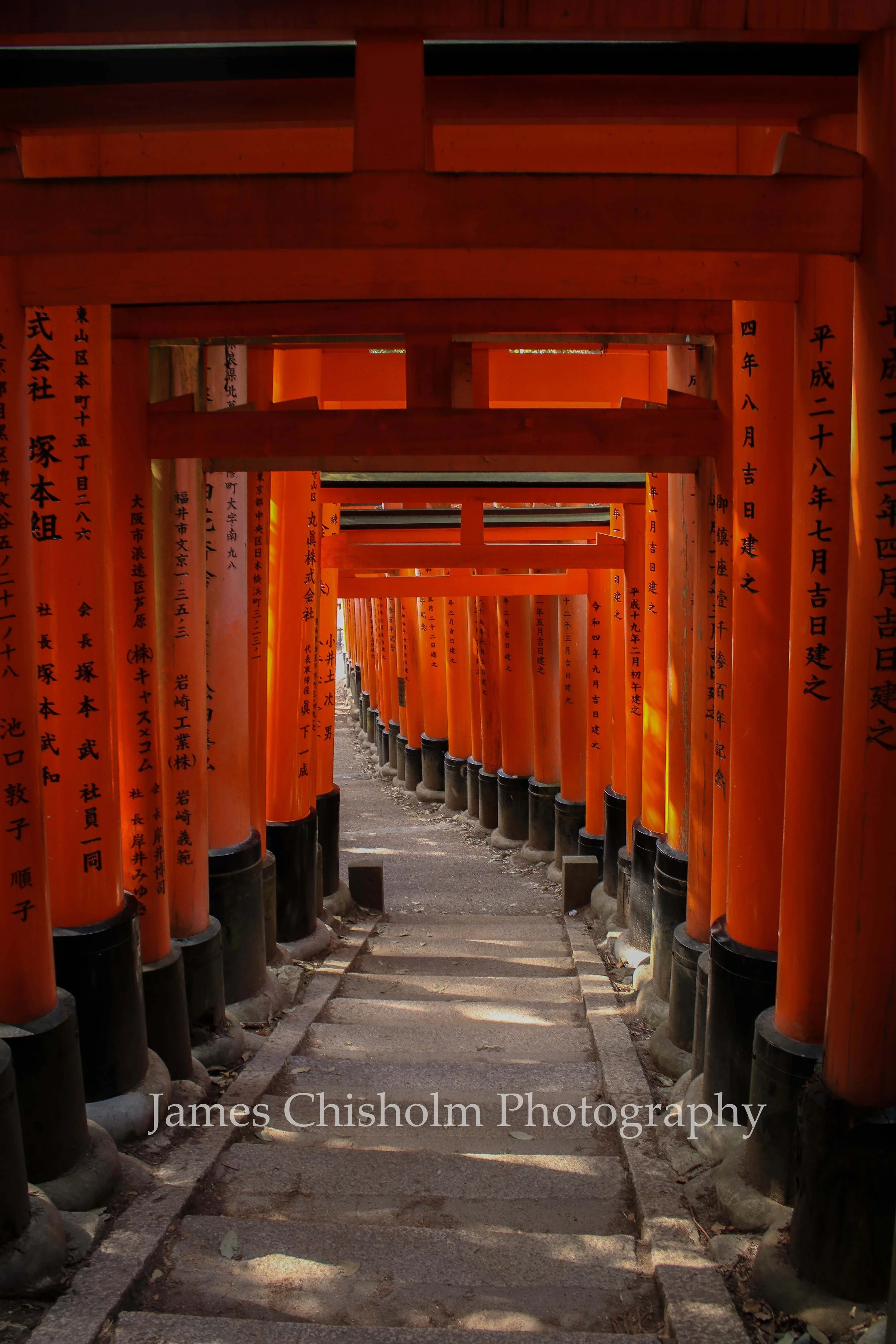 A pathway through a corridor of numerous orange torii gates, each inscribed with Japanese characters, at Fushimi Inari Shrine in Kyoto, Japan.