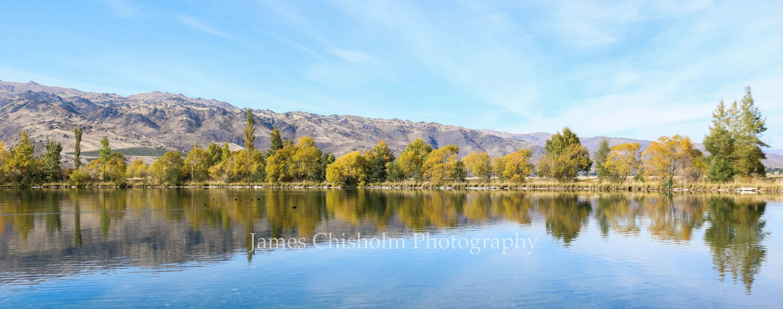Lake Dunstan Spring #2