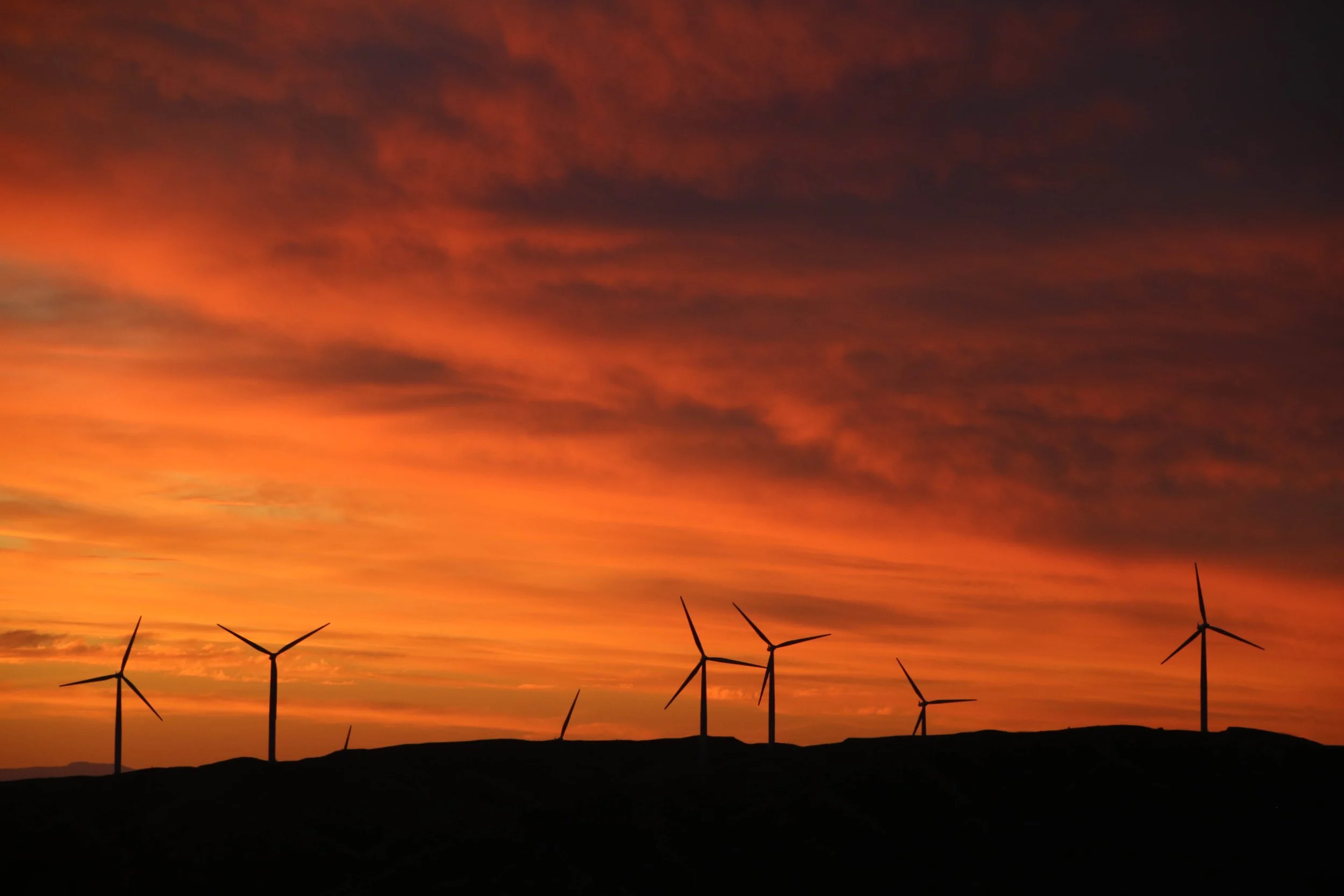 A landscape view of a sunset sky with vibrant orange, pink, and purple clouds, with wind turbines visible on the horizon in Wellington, NZ.