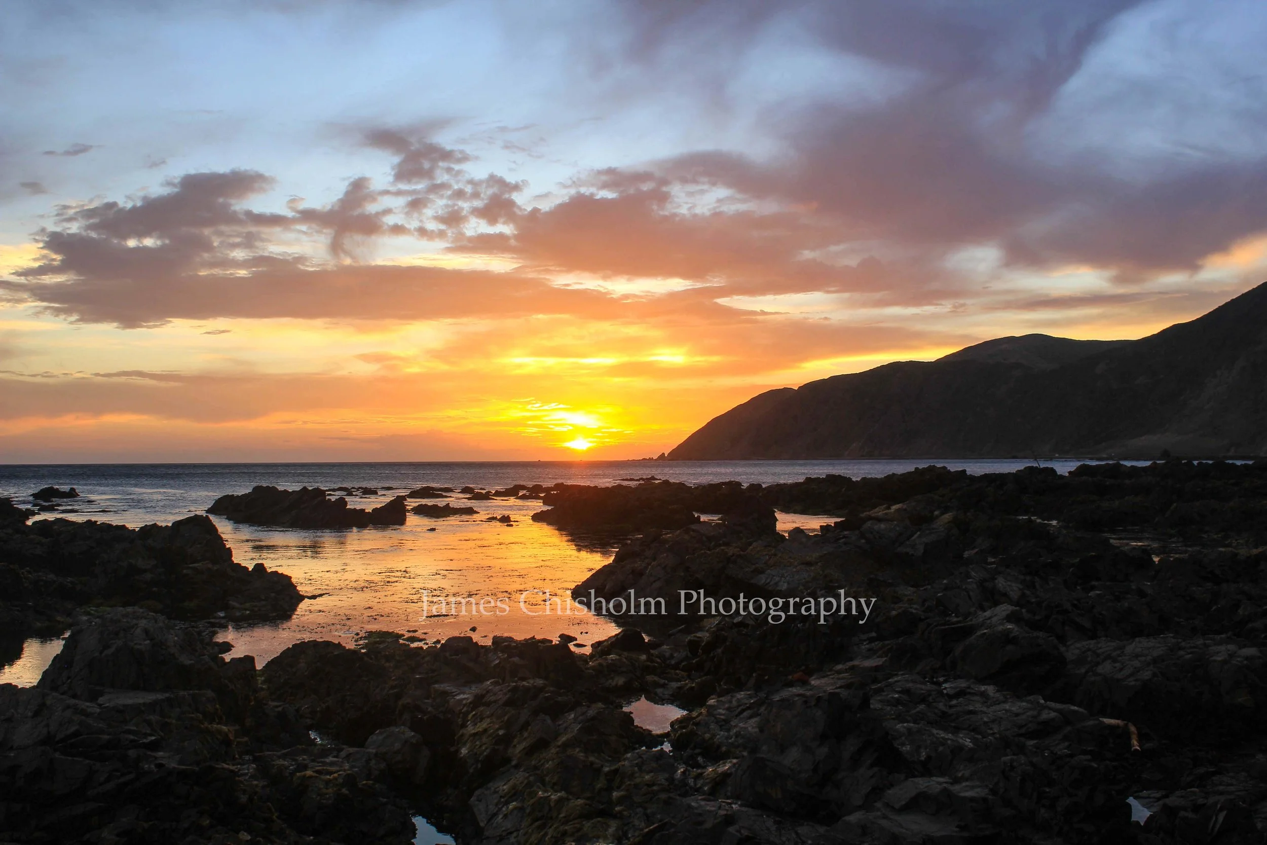 South Coast Sun