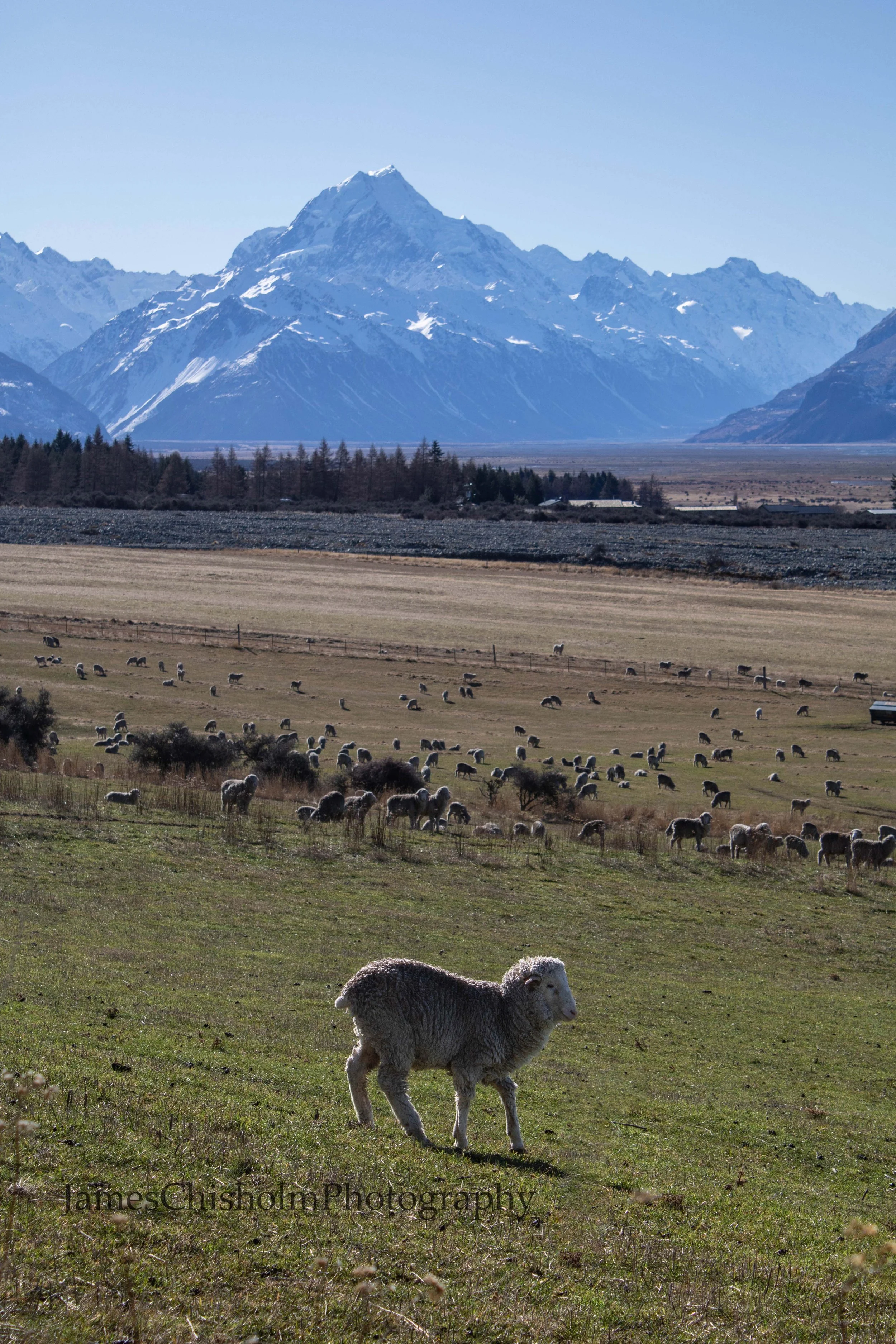 Mt Cook Farmland