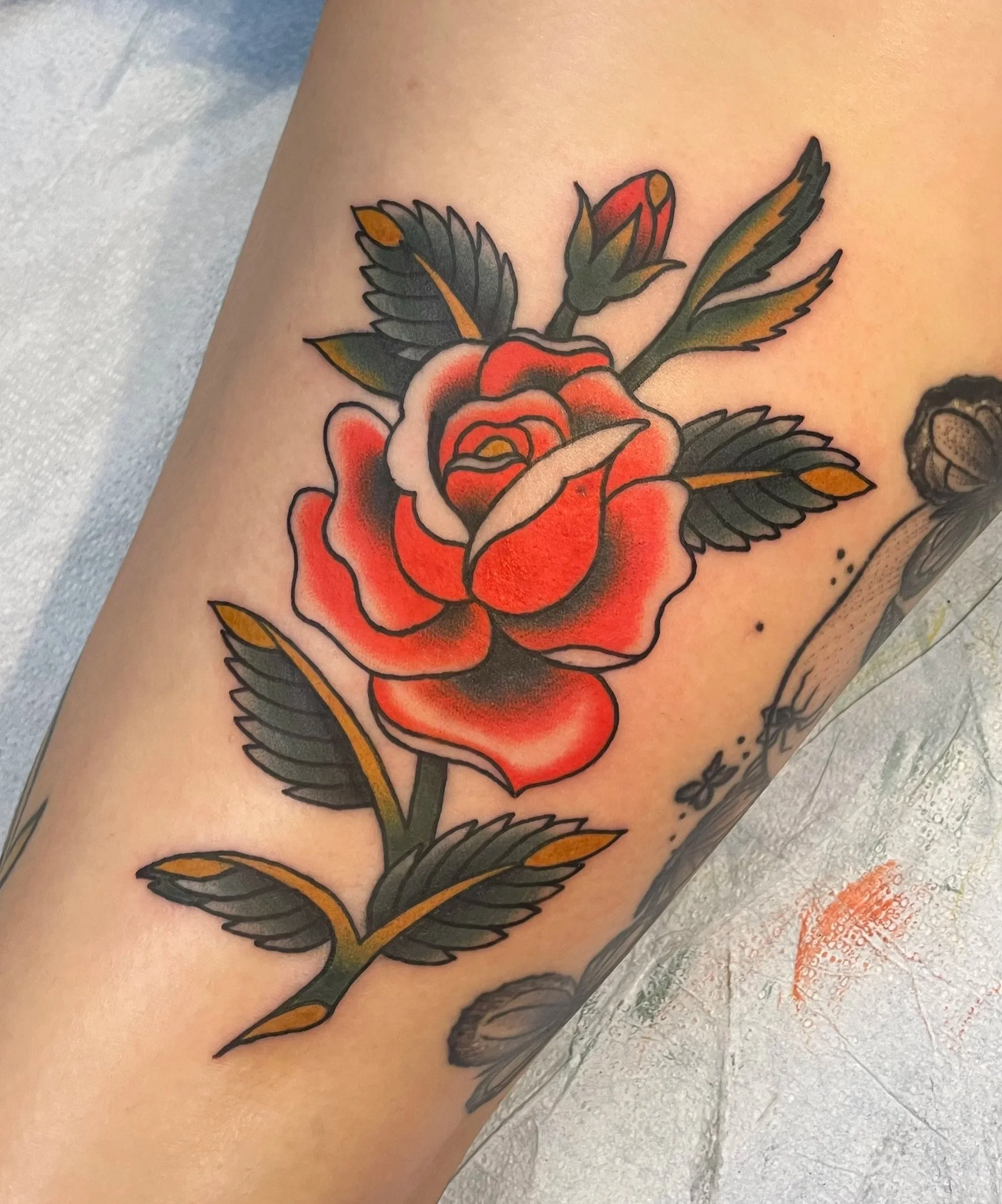 Colorful tattoo of a red and white rose with green leaves on skin