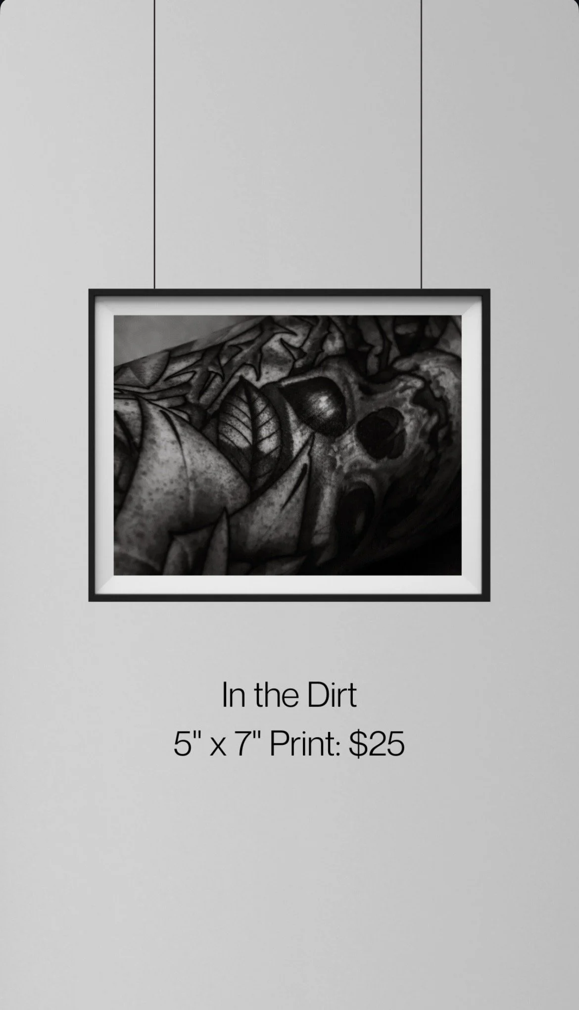 Photography Prints 5x7"
