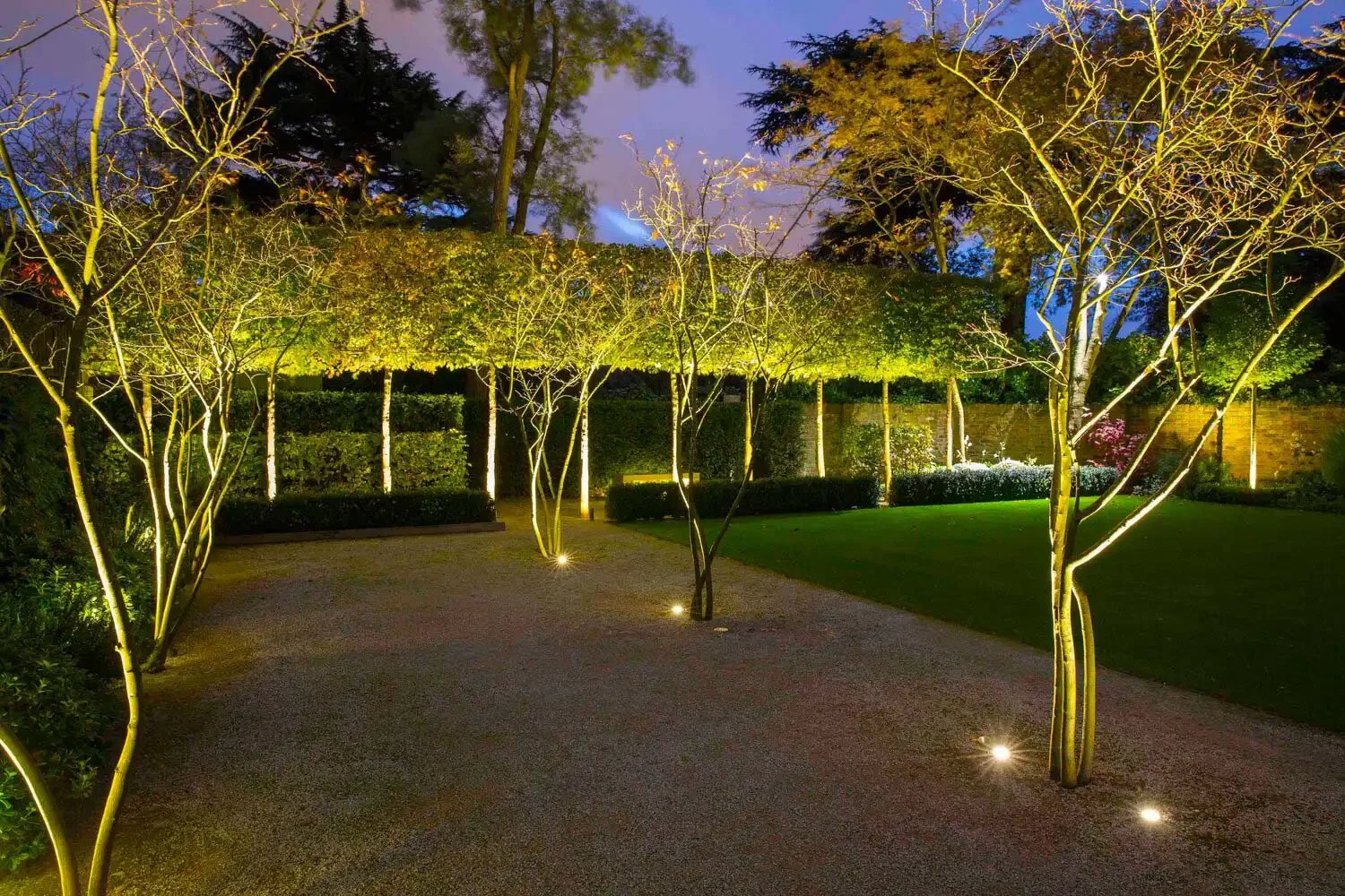 17_FormalStructuralGarden.webp