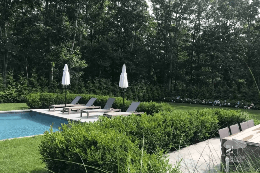 Backyard pool surrounded by manicured boxwood hedges for privacy