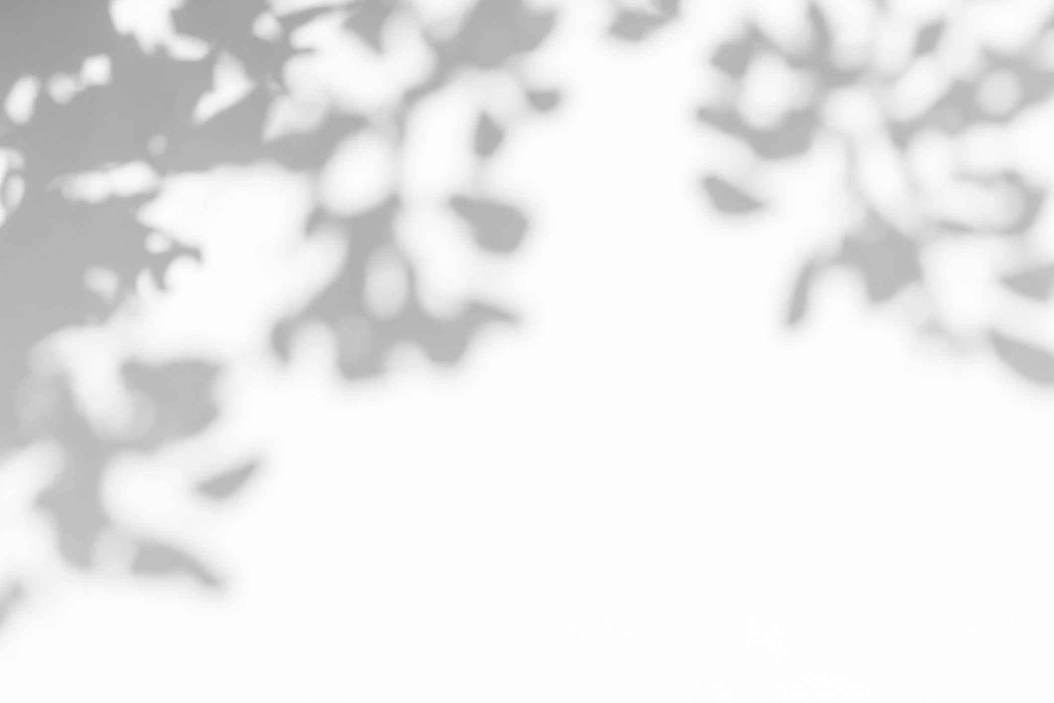 Background picture of a shadow of tree leaves on a wall.