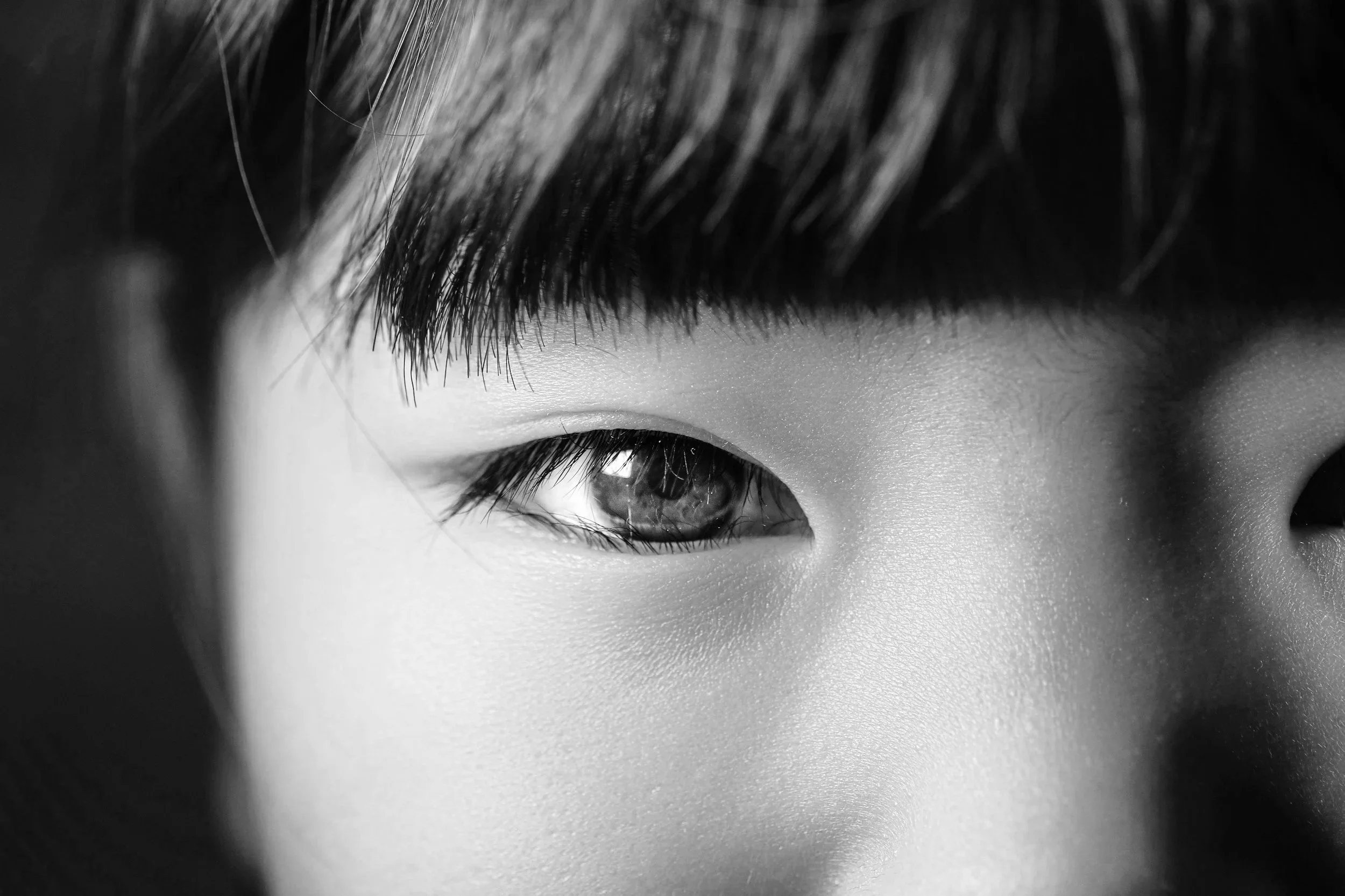 Close-up of a person's eye with long eyelashes and a dark eyebrow, black and white photo.