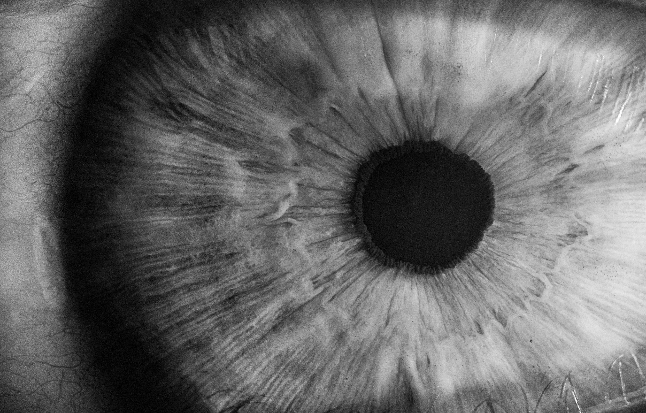 Close-up of a human eye in black and white, showing the iris, pupil, and surrounding eye details.