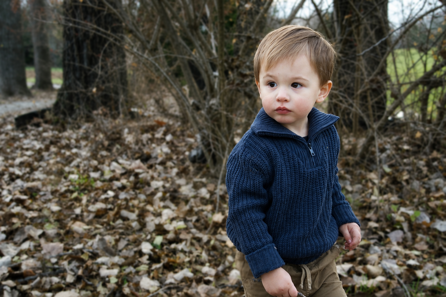 A young boy with light brown hair and wearing a dark blue sweater standing outdoors in a wooded area with fallen leaves on the ground and bare trees in the background.
