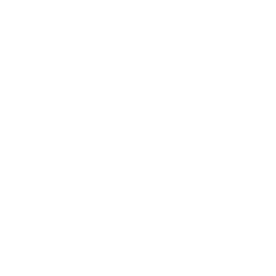 Logo White PT (1).png