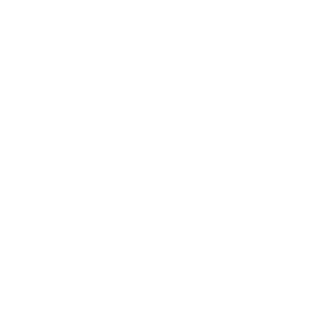 Logo White IR (1).png