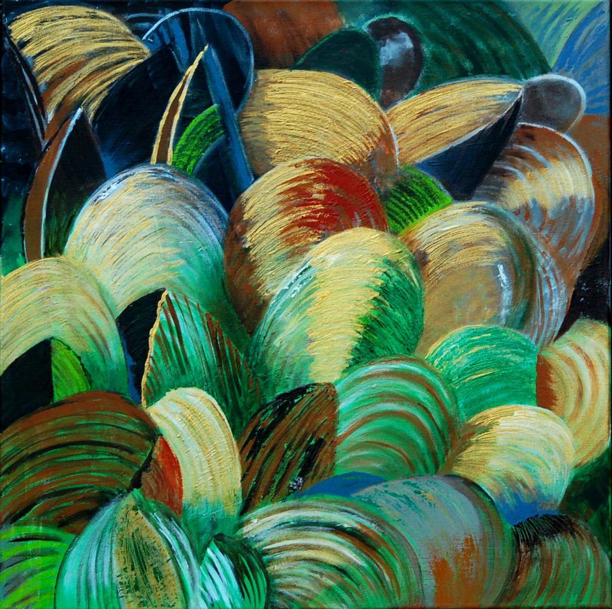 Shells