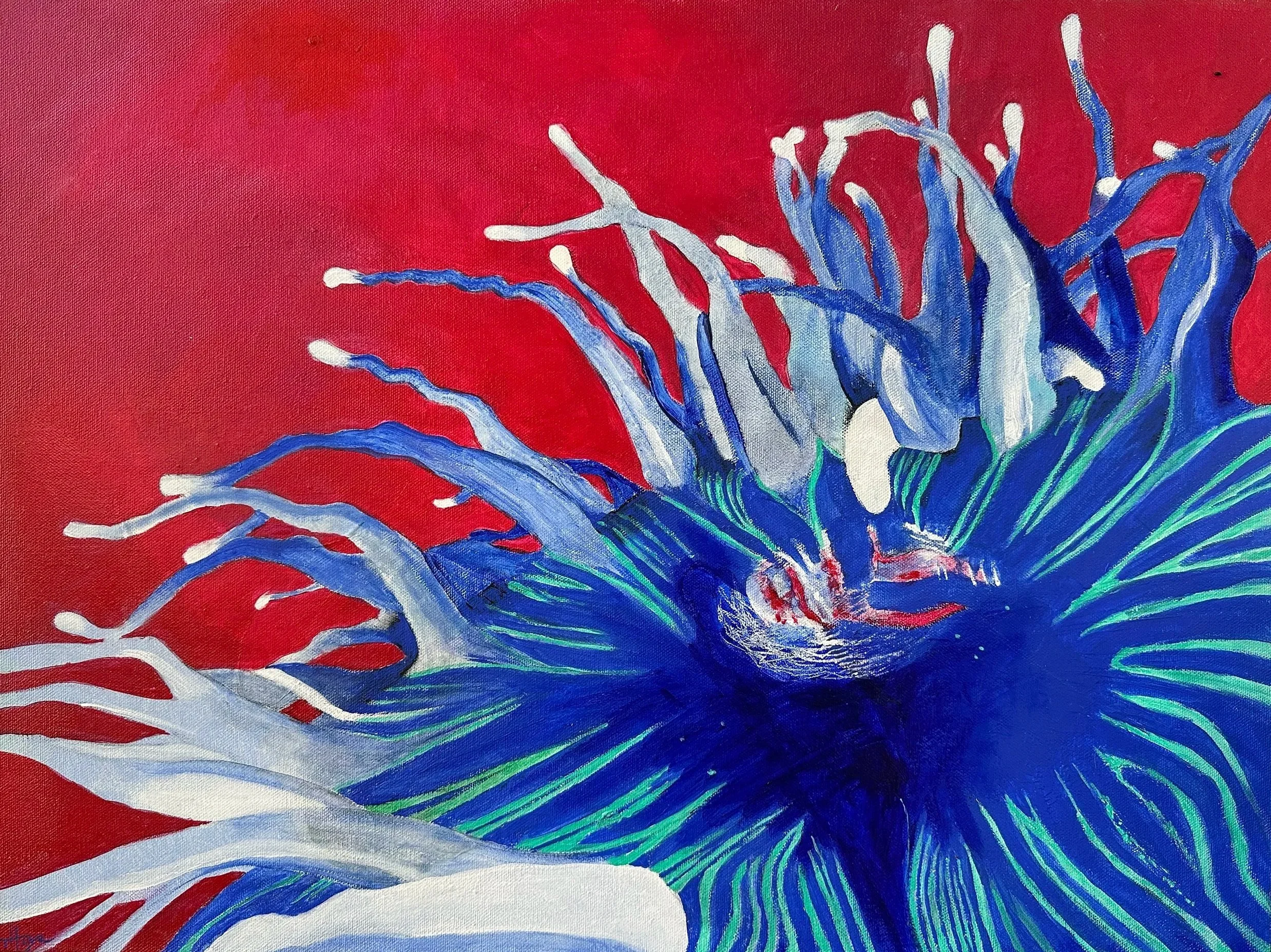 Large Anemone #2