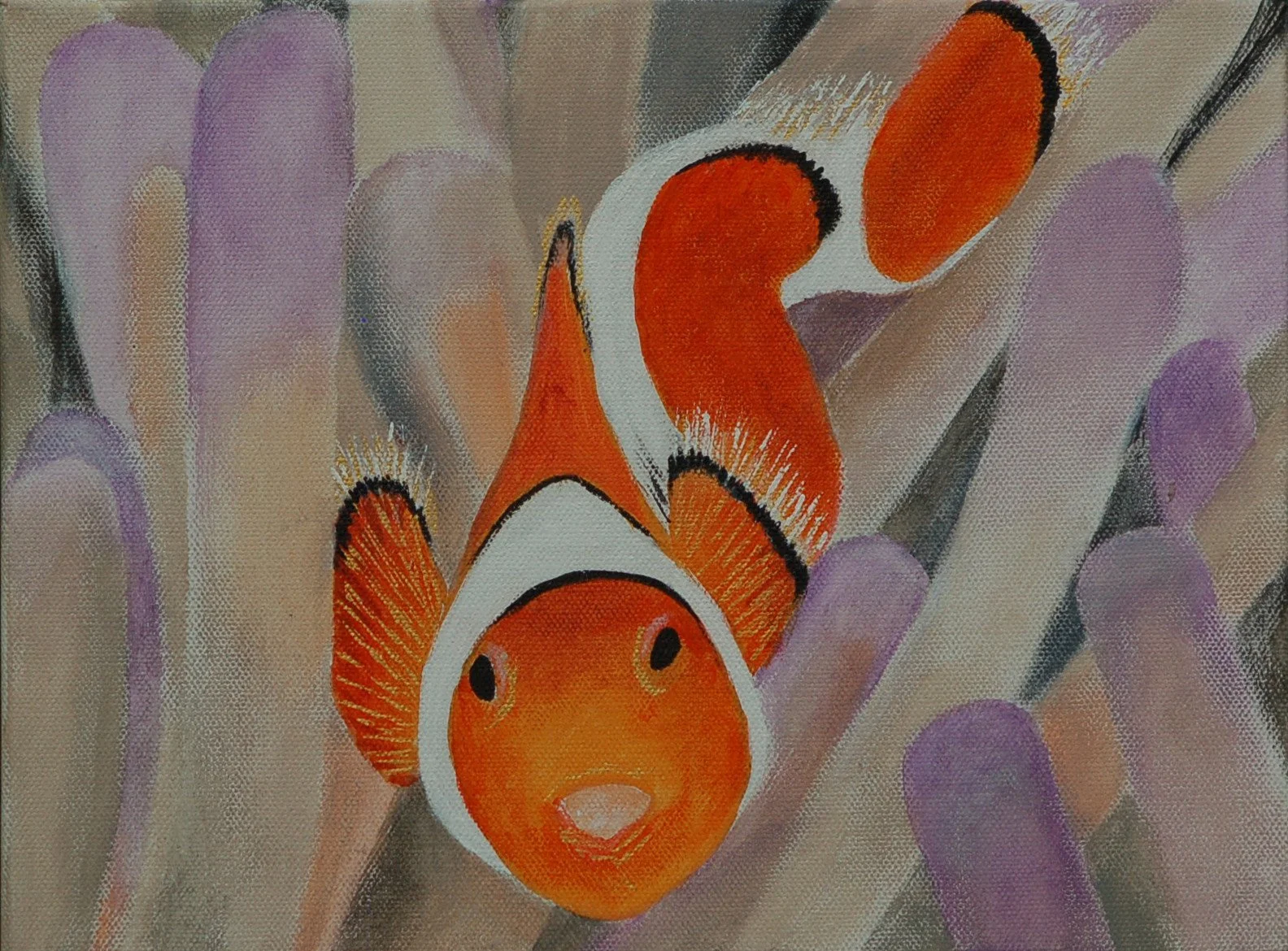 Clownfish in Anemone (He was not happy to see me!)