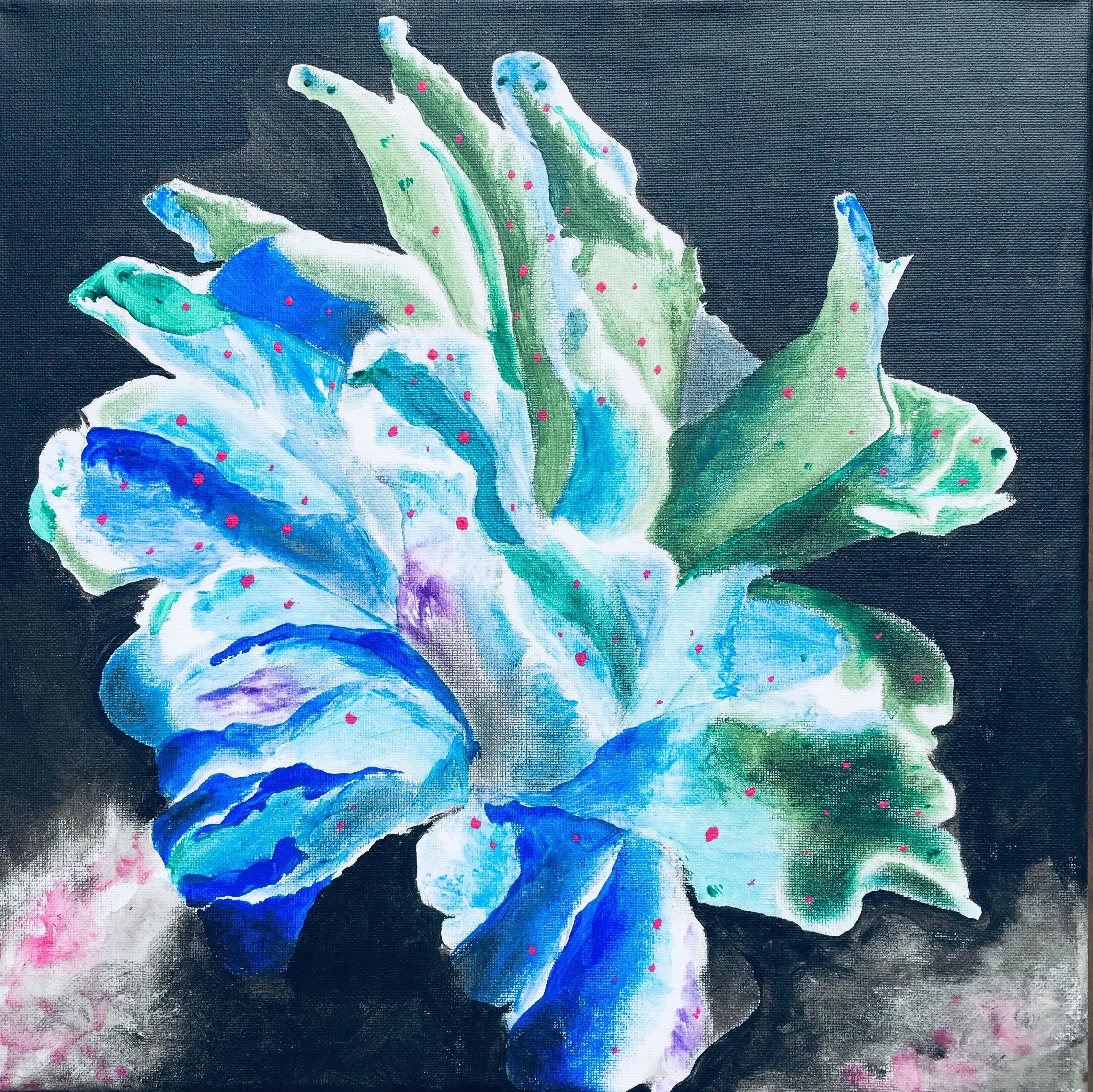 Algae plant #2