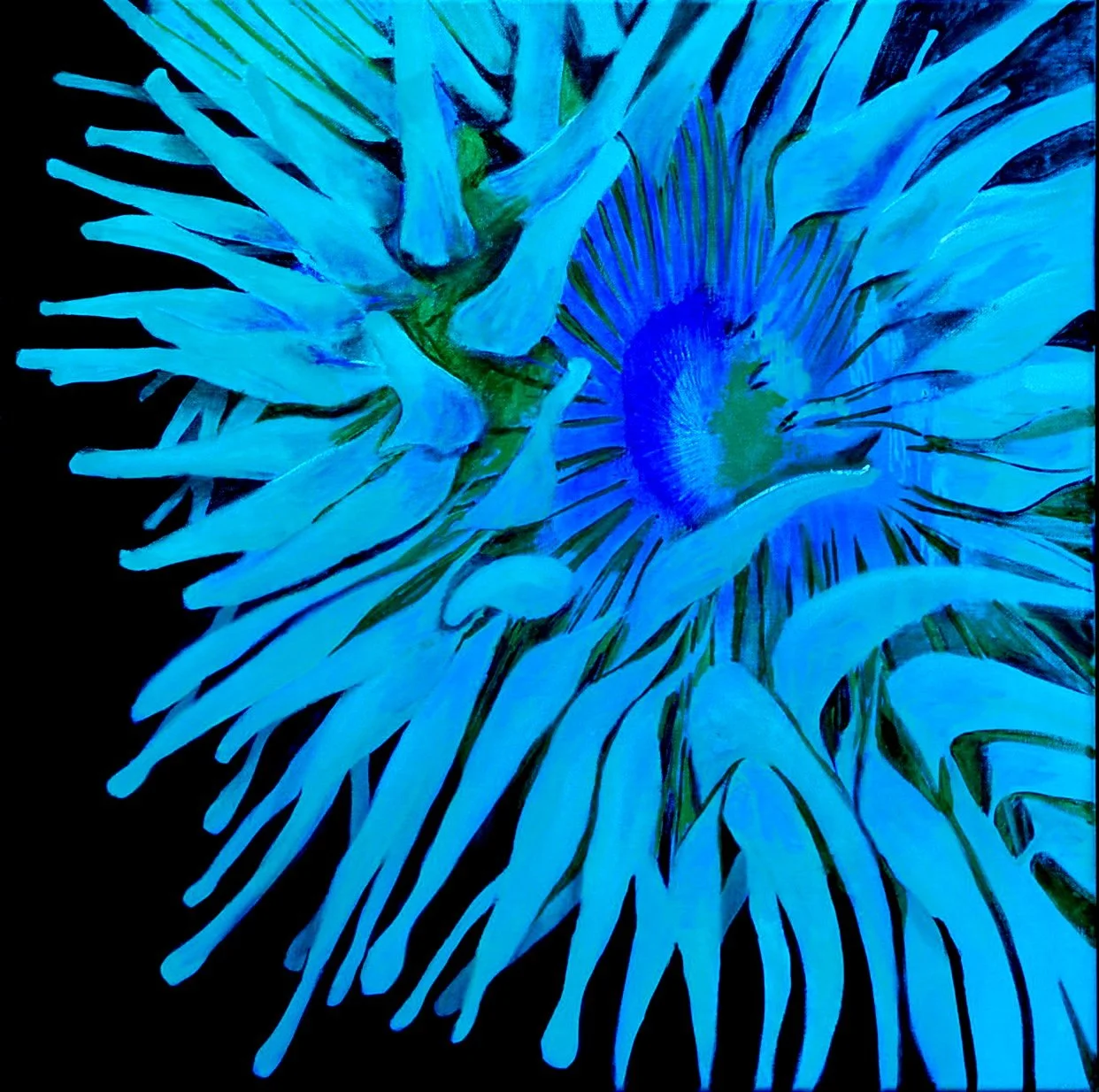 giant anemone1.JPG