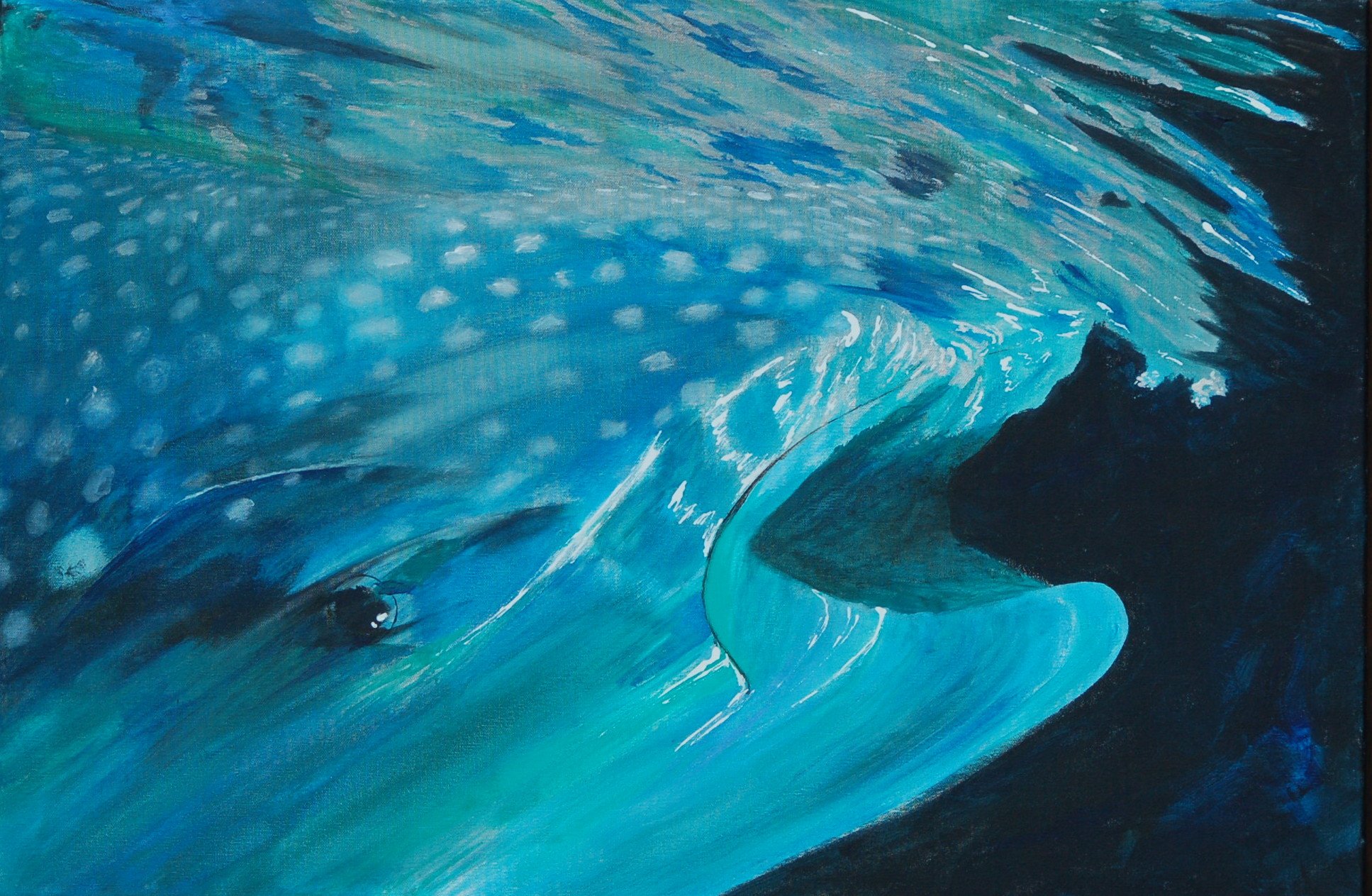 Whale Shark